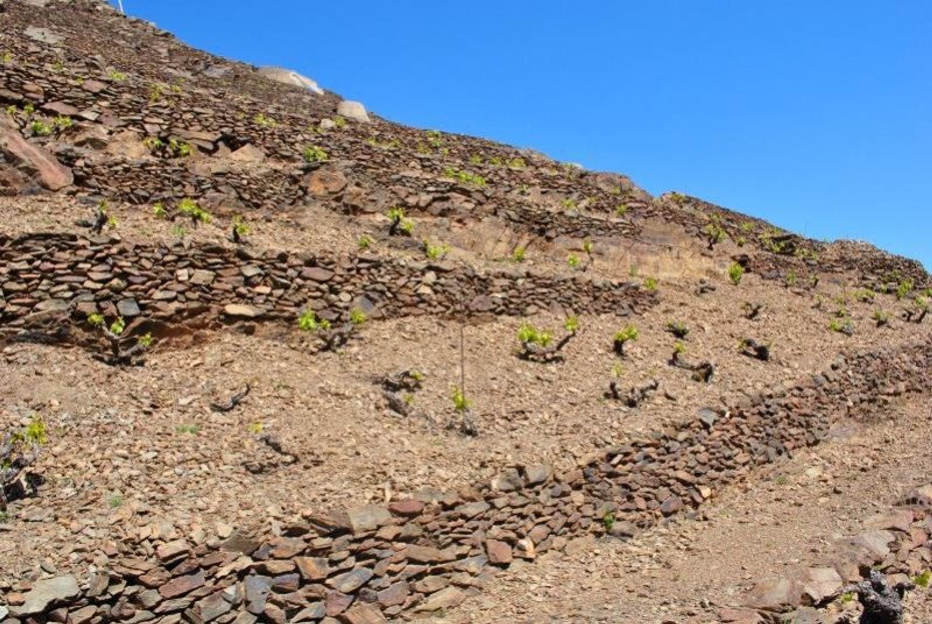 Dom w Banyuls-sur-Mer, Occitanie 10929374