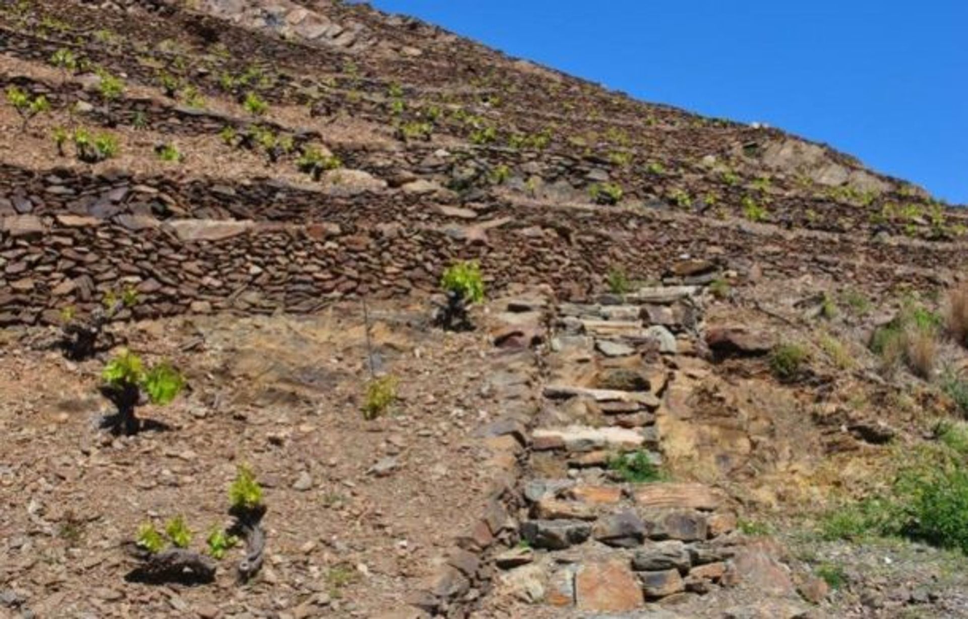 Dom w Banyuls-sur-Mer, Occitanie 10929374