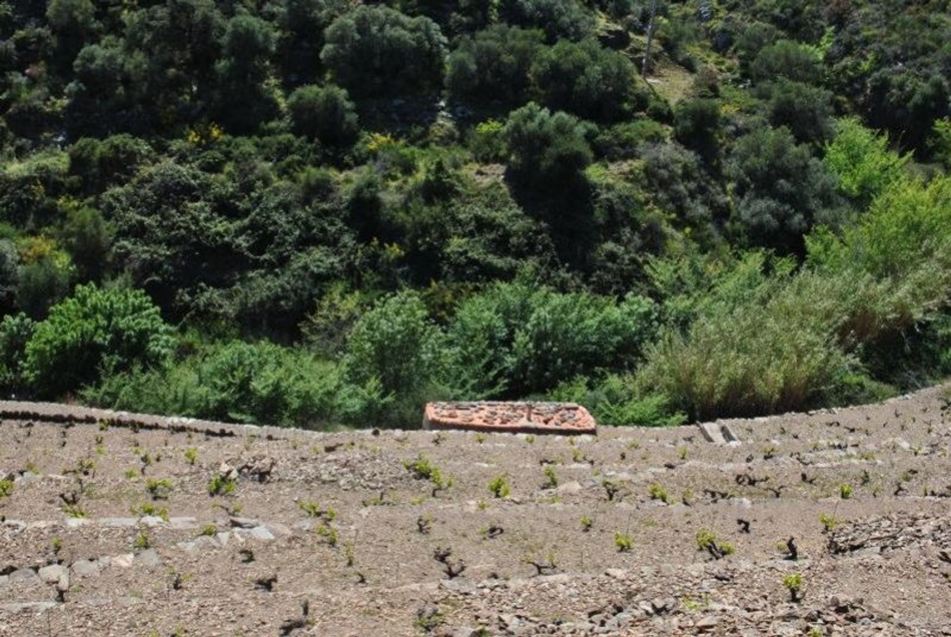 Dom w Banyuls-sur-Mer, Occitanie 10929374