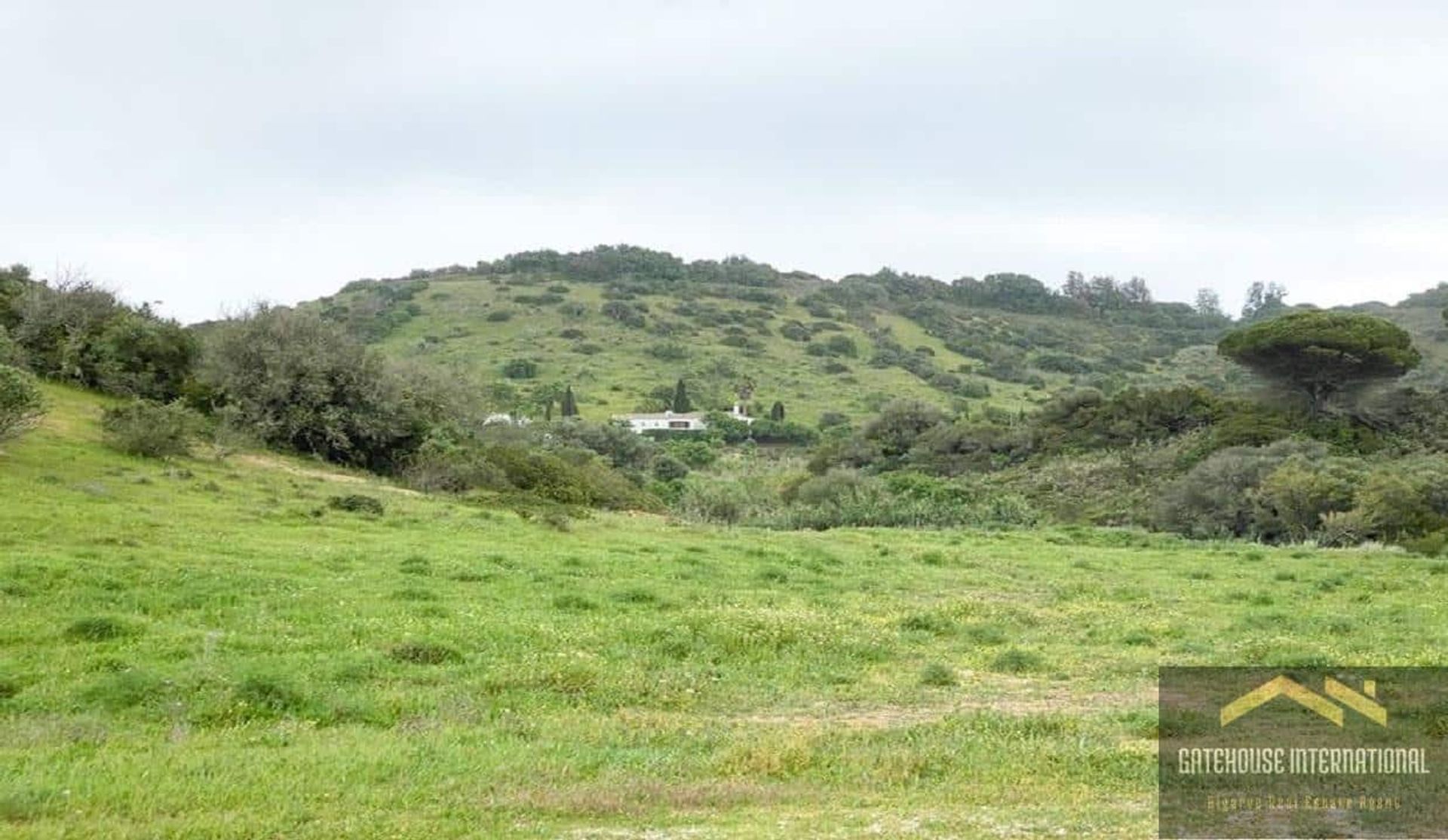 土地 在 Praia da Luz, Faro District 10929483