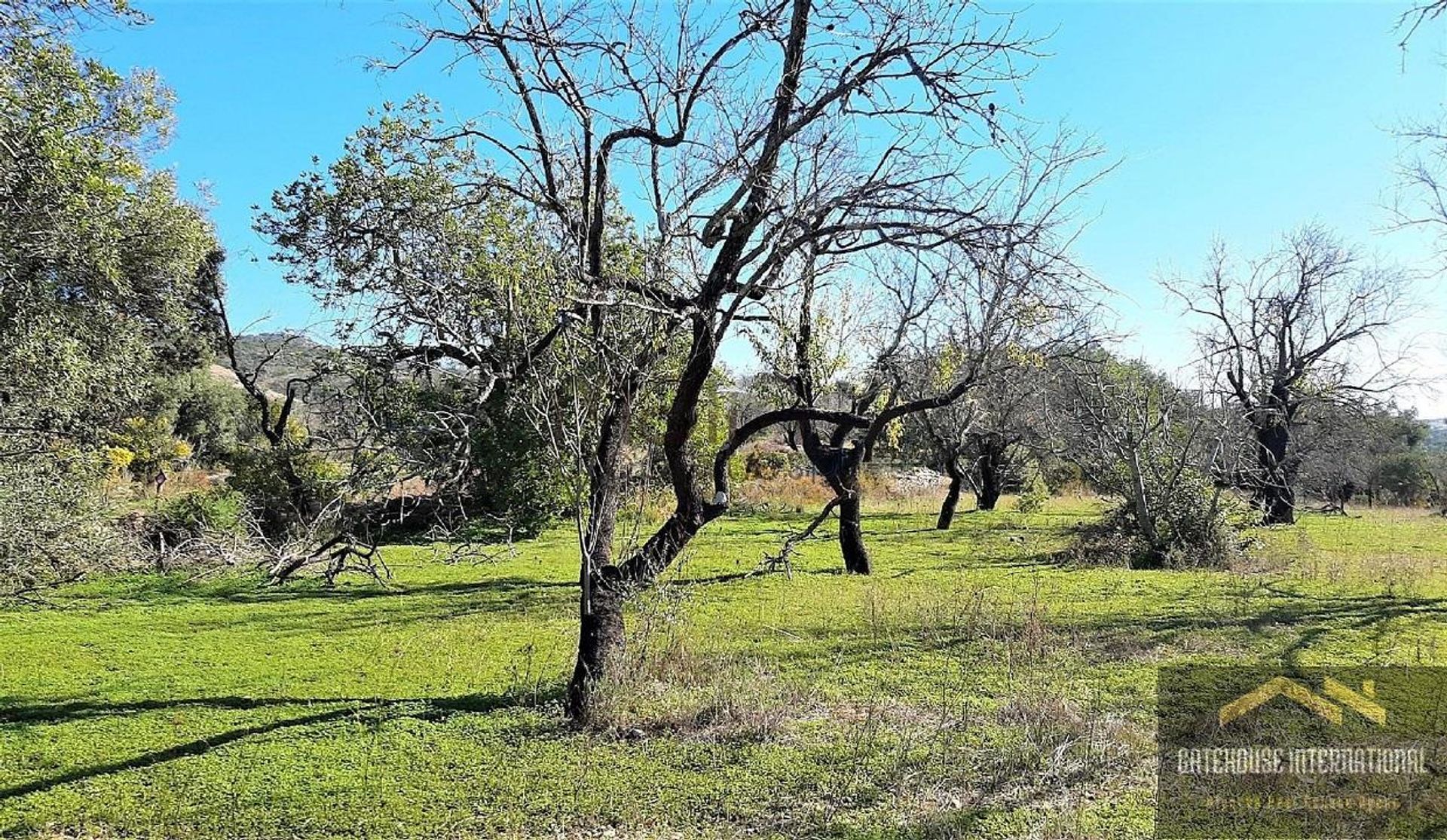 ארץ ב Estoi, Faro 10929582