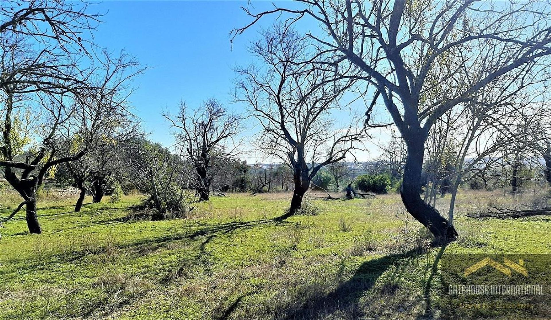 Land in Estoi, Faro District 10929582