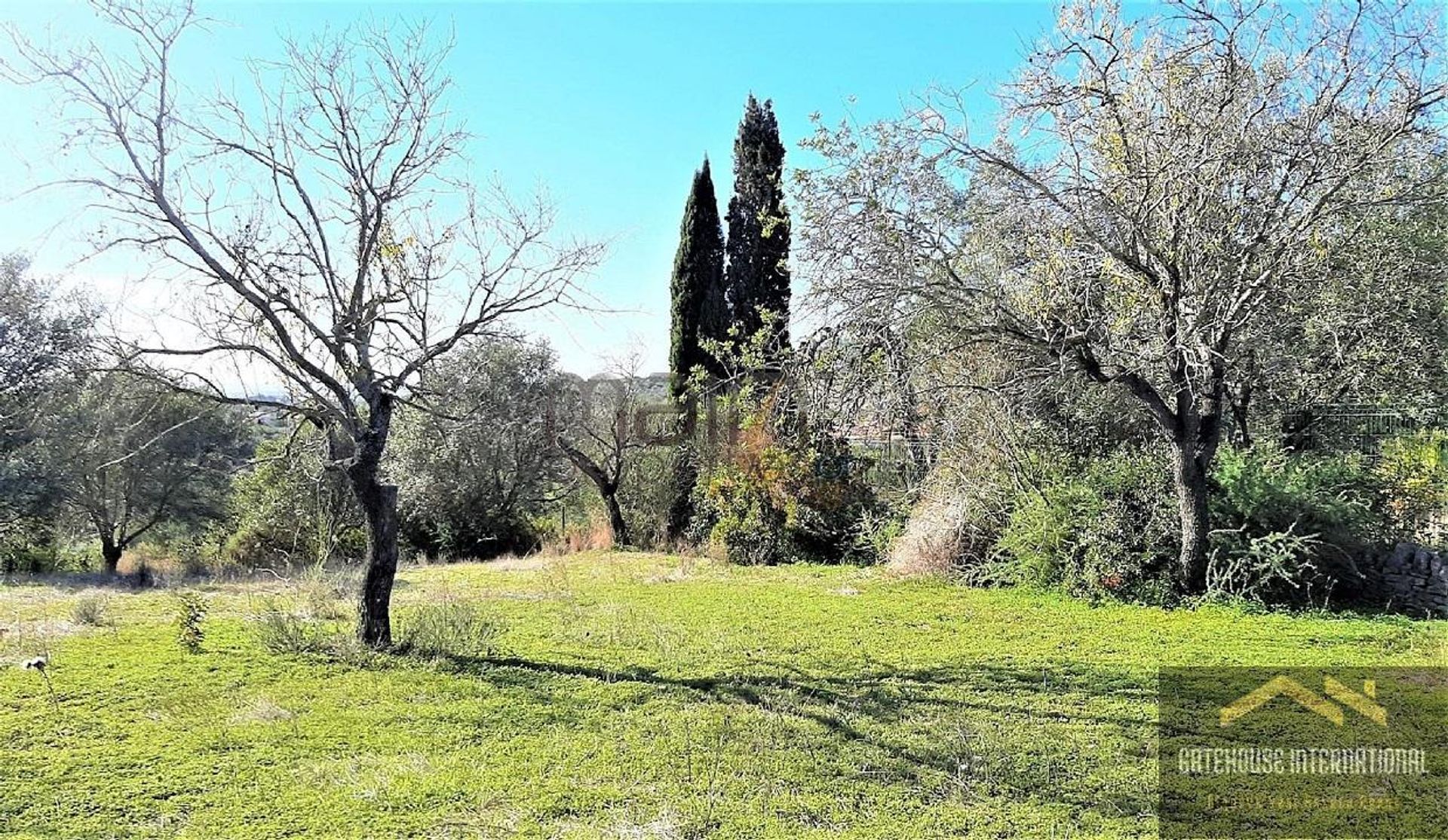 Land in Estoi, Faro 10929582