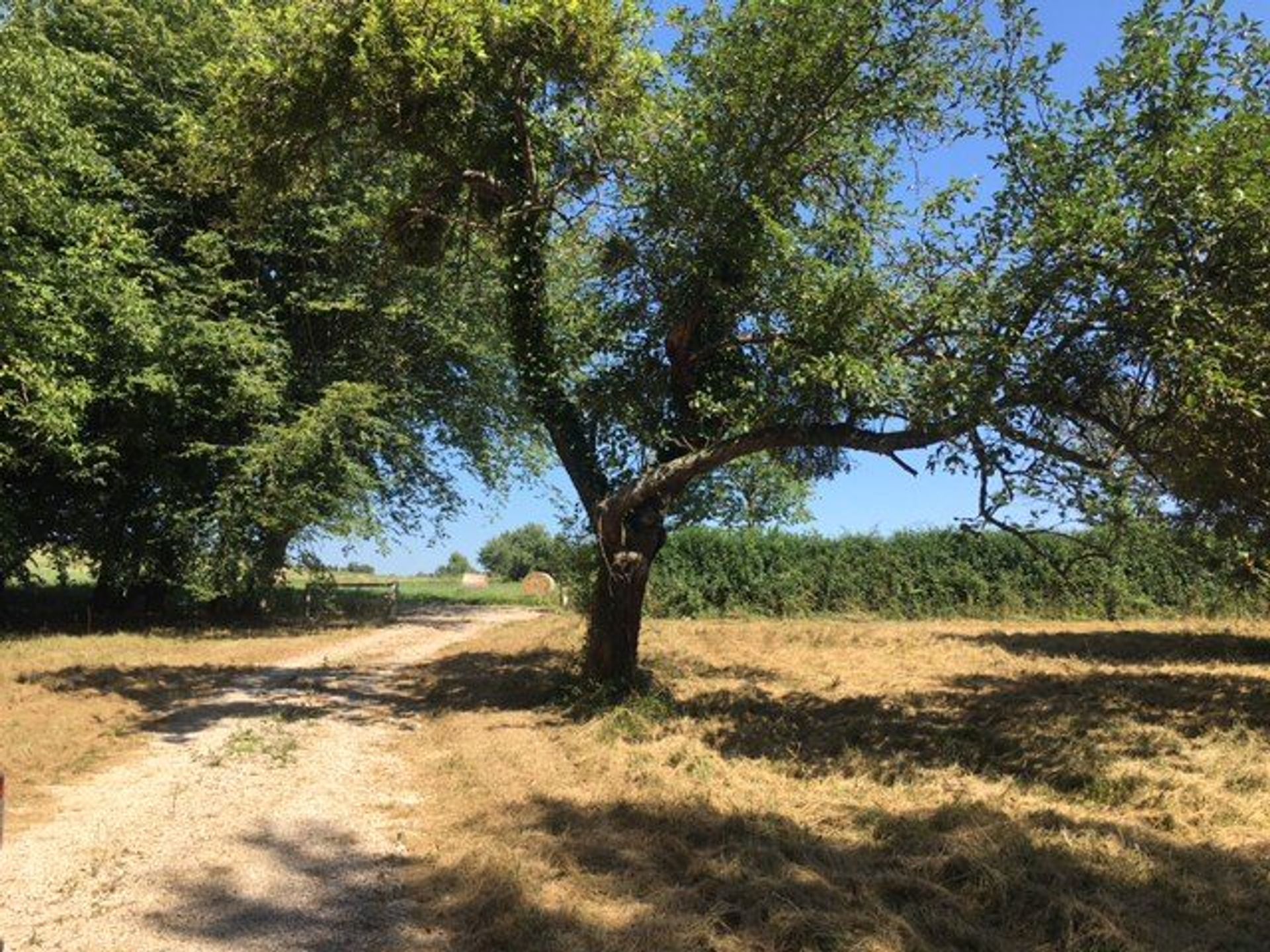 casa en Blajan, Occitanie 10929764