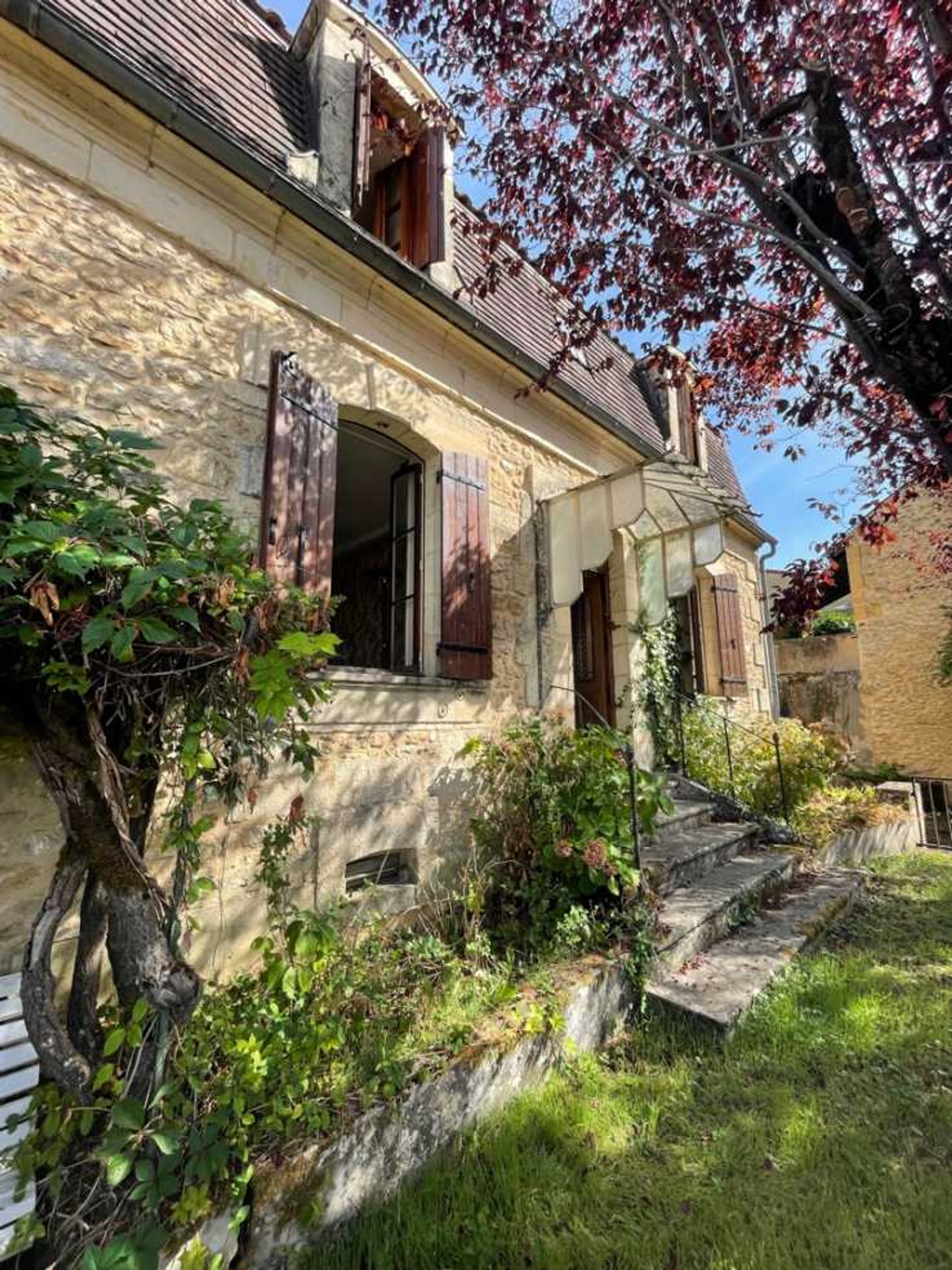 Hus i Saint-Cyprien, Nouvelle-Aquitaine 10930264