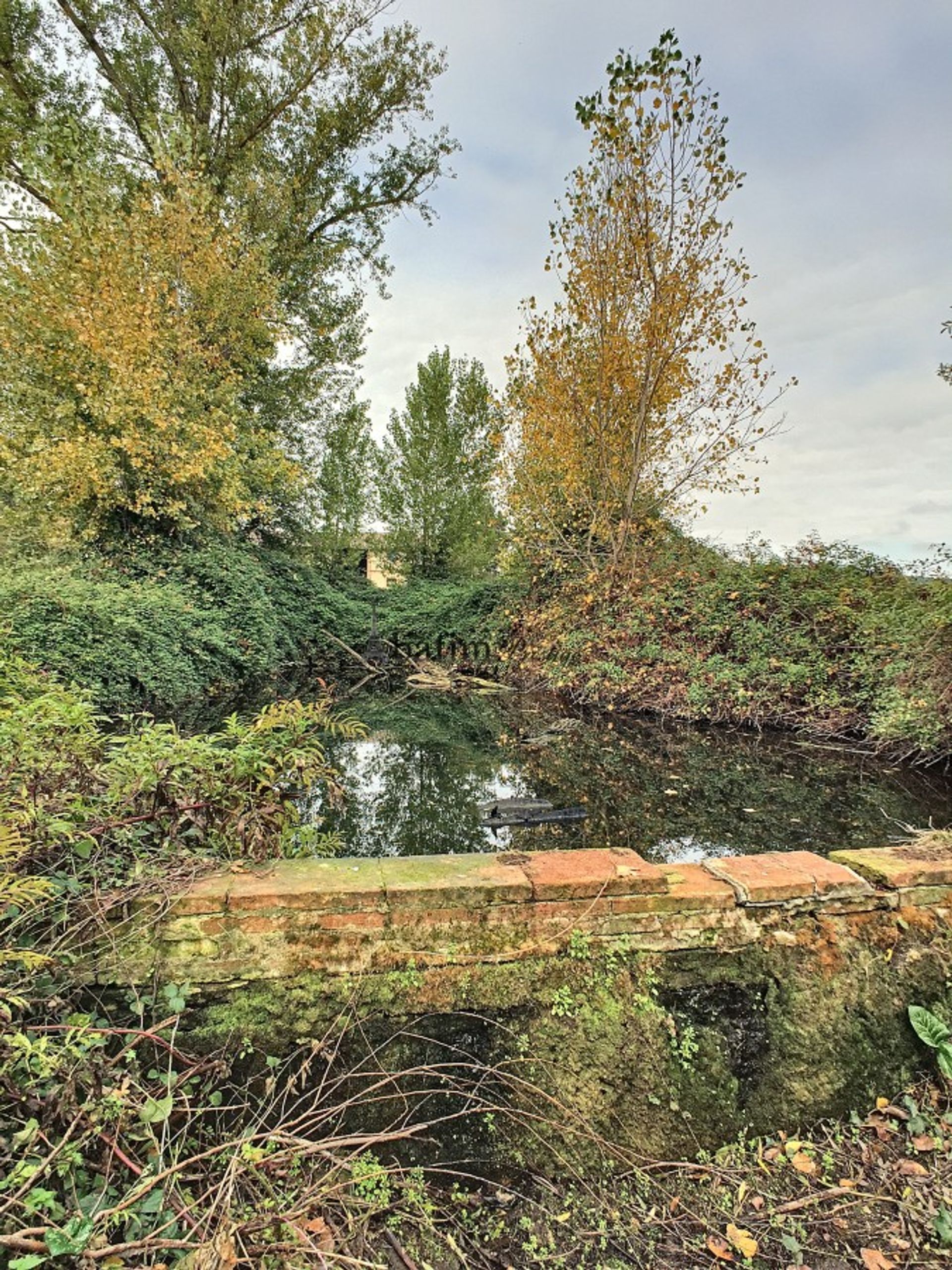 Borettslag i Rieumes, Occitanie 10930379