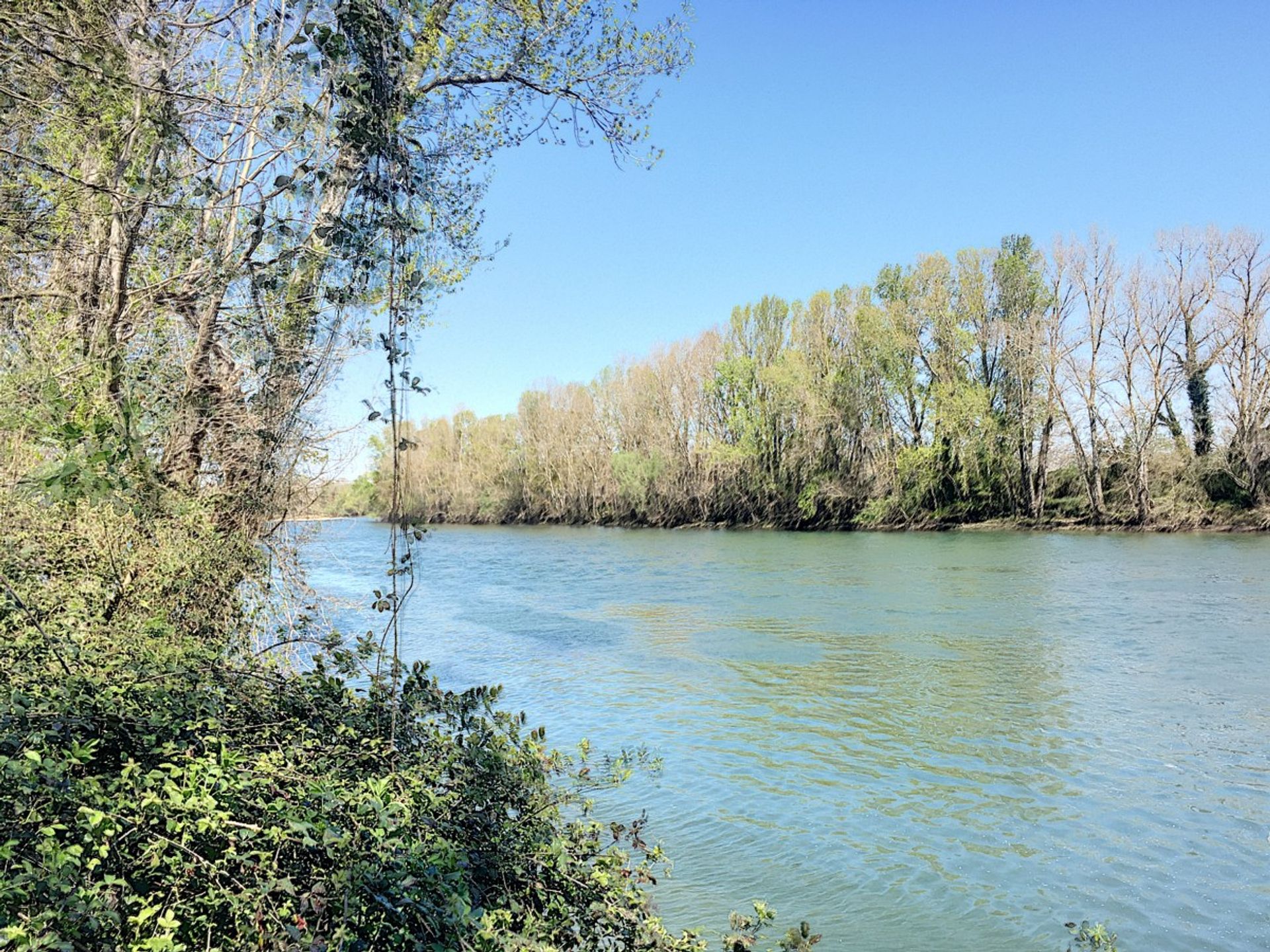 Outro no Rieumes, Occitanie 10930405