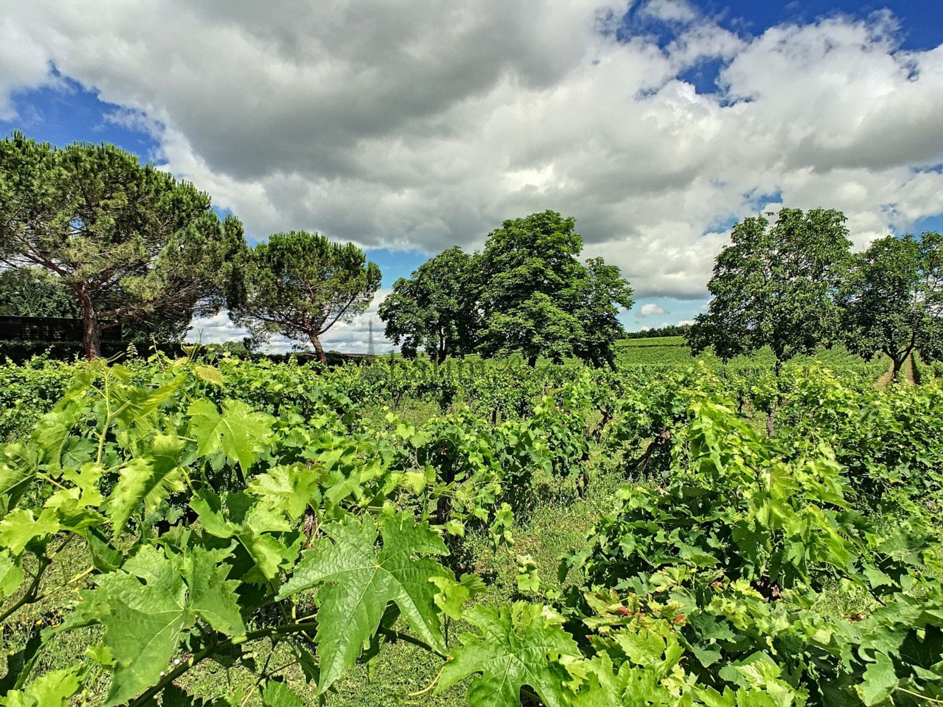 Будинок в Labastide-de-Levis, Occitanie 10930408