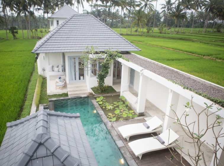 House in Ubud, Bali 10930556