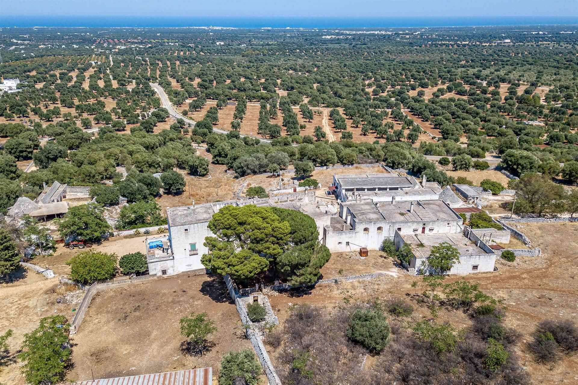 آخر في Cisternino, Puglia 10930609