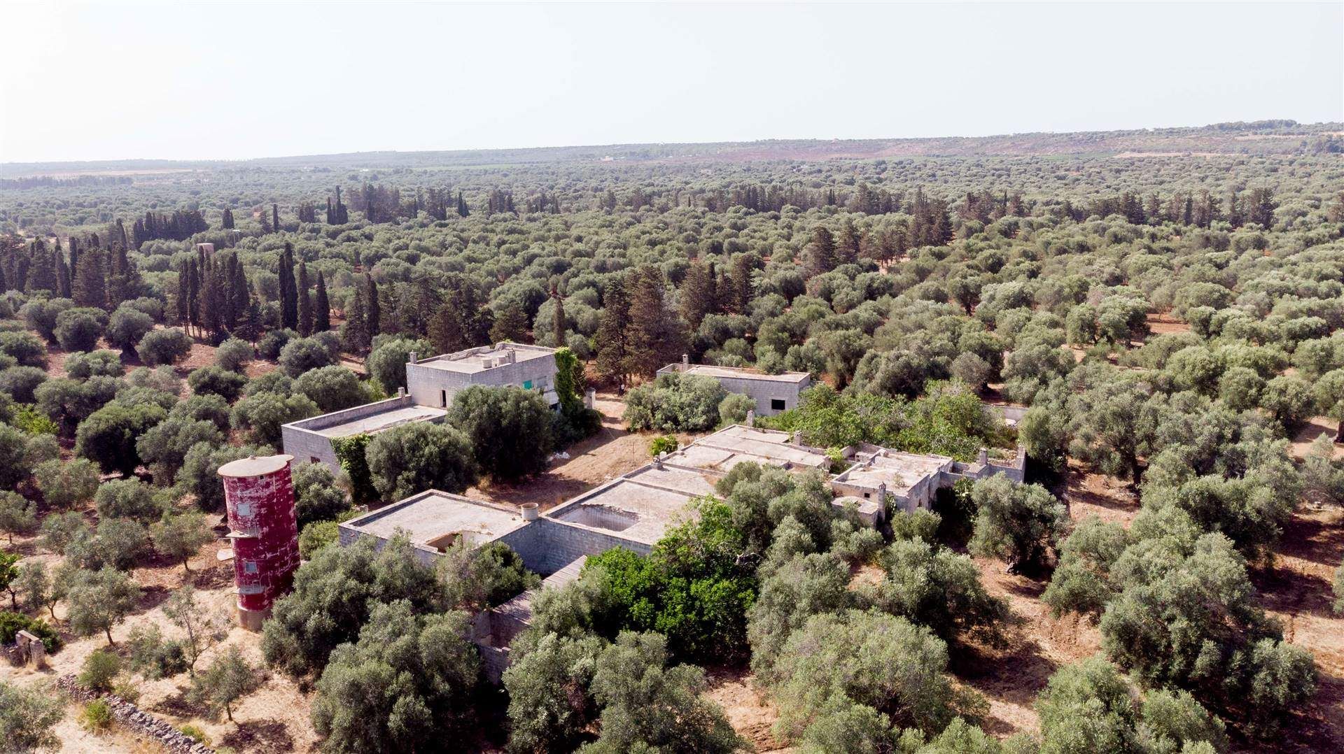 Otro en Maruggio, Apulia 10930708