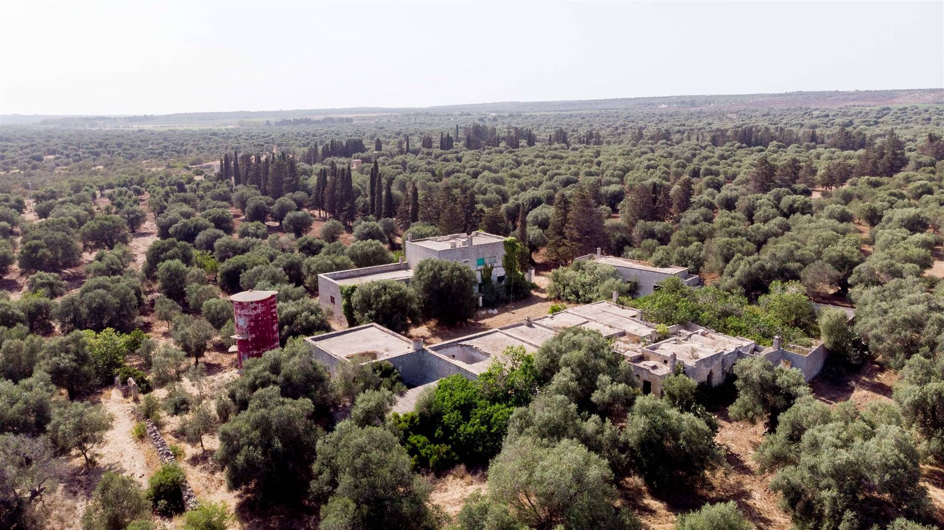 Otro en Maruggio, Apulia 10930708