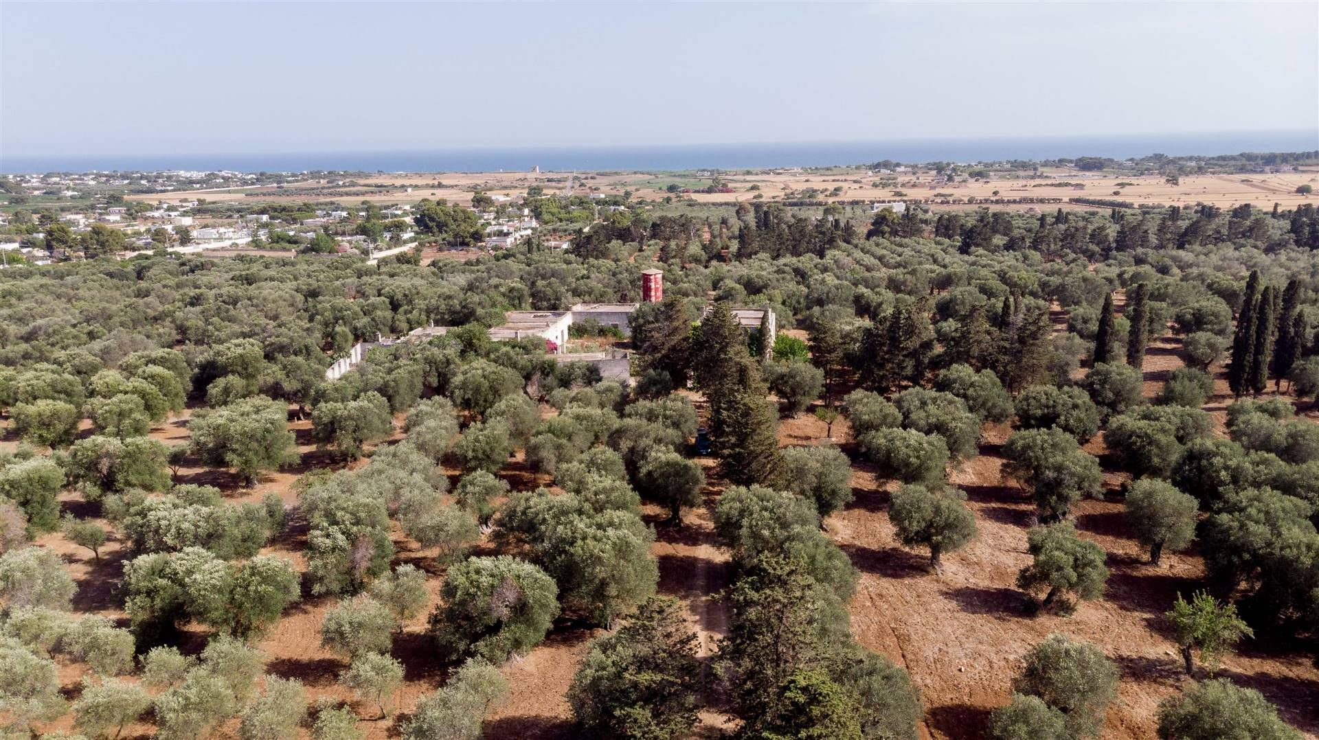 다른 에 Maruggio, Apulia 10930708