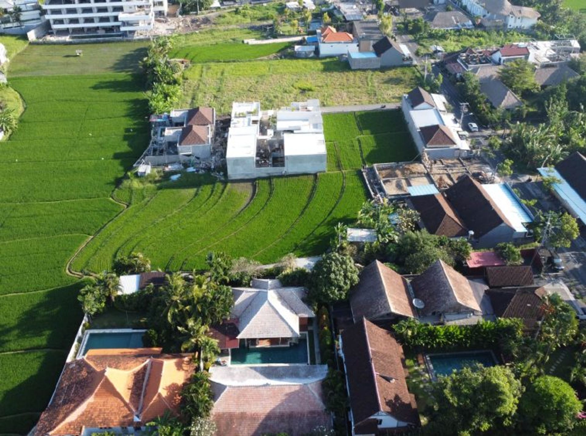 Land i Padanglinjong, Bali 10930716