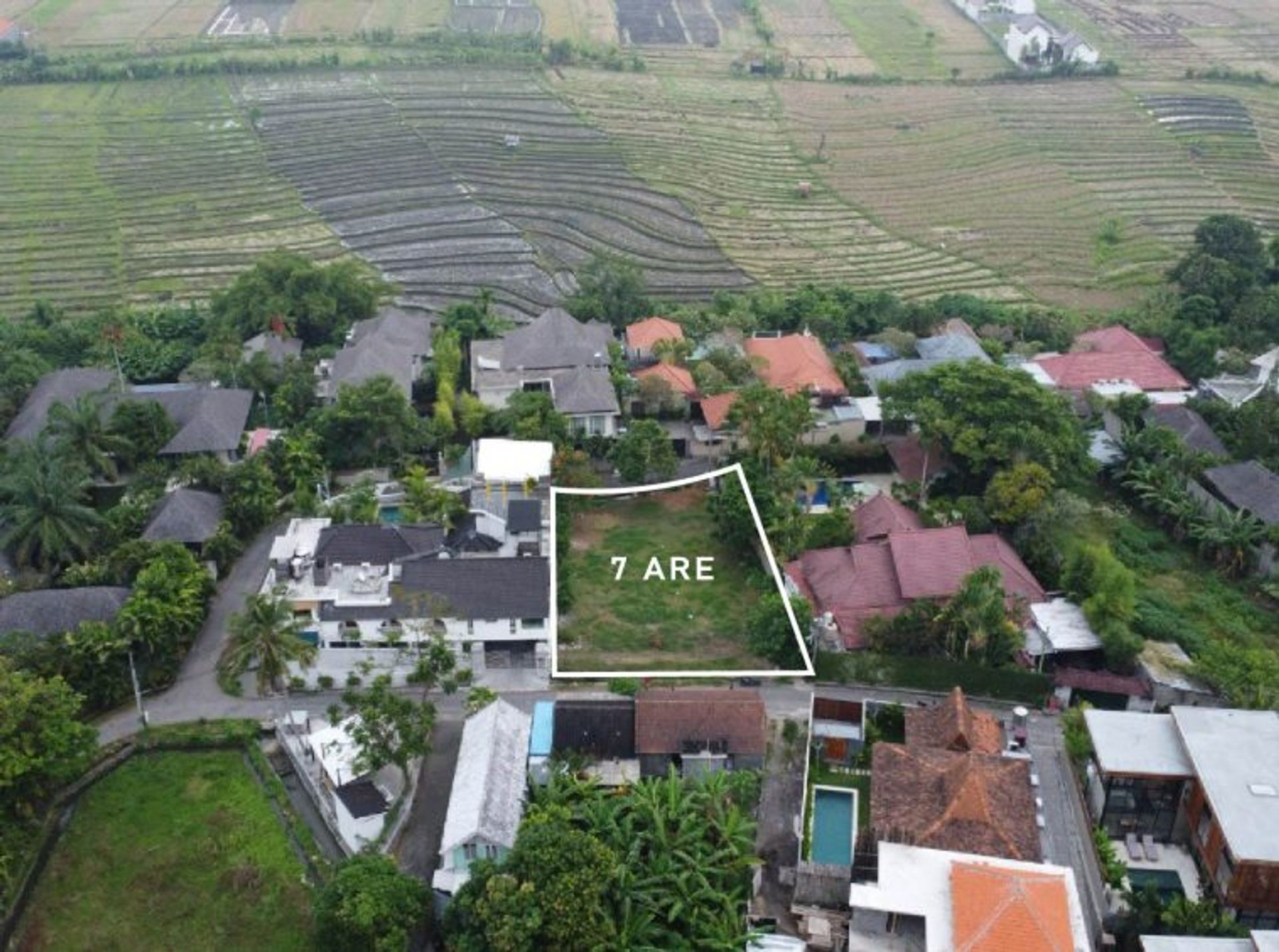 Terra no Banjar Pekenjelodan, bali 10930718