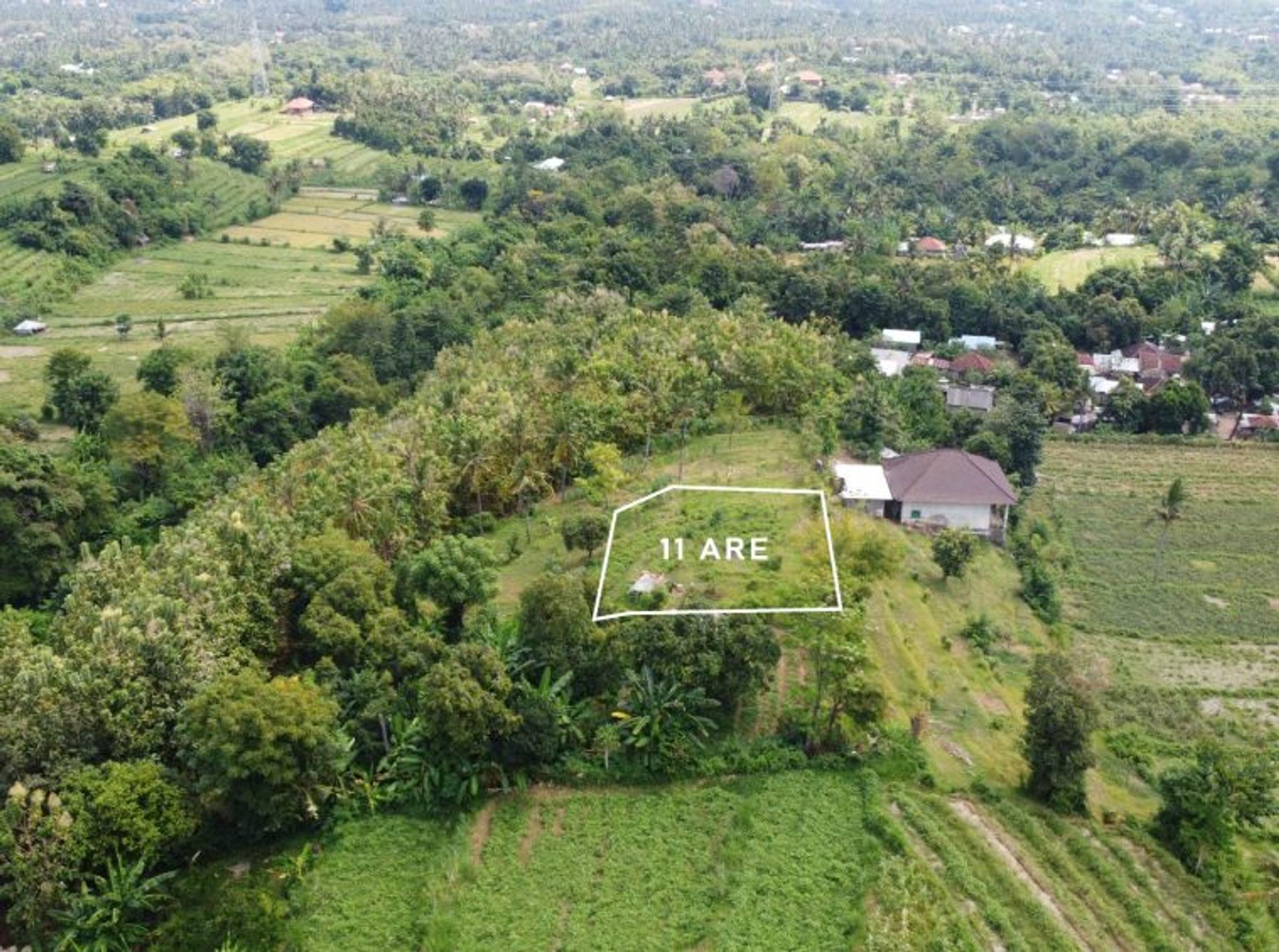 Land in Bayan, Bali 10930720