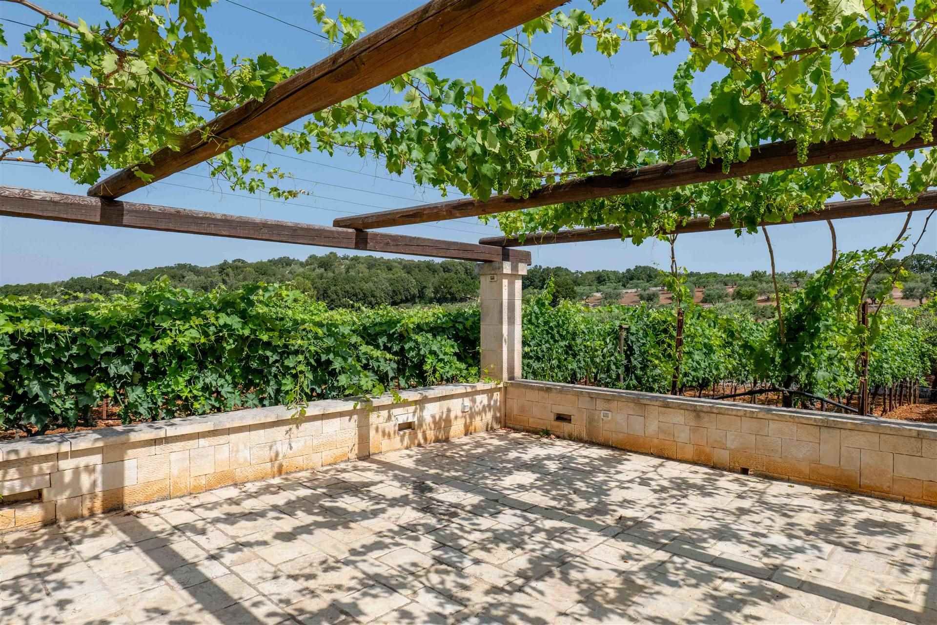 Huis in Locorotondo, Apulia 10930722