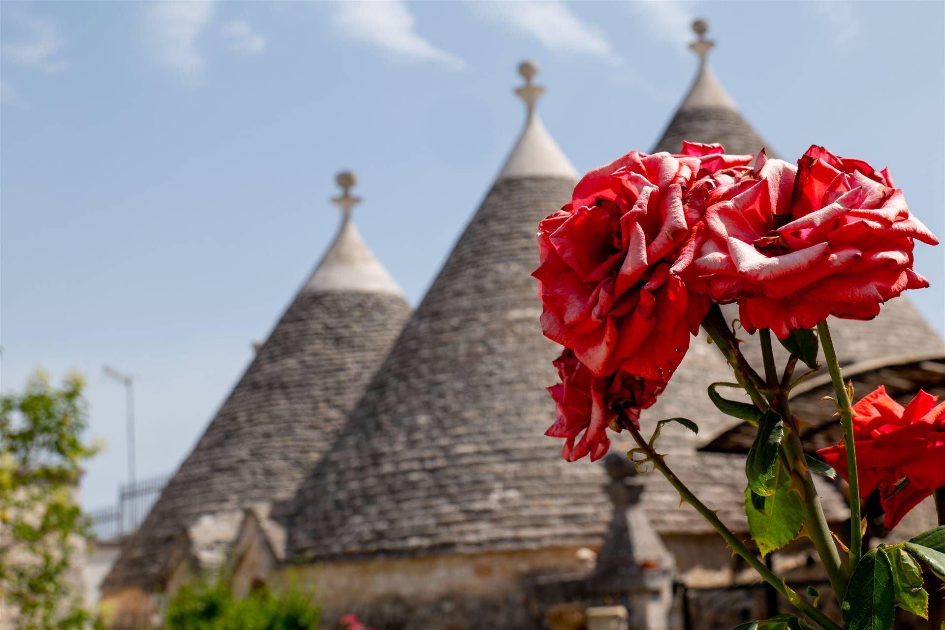 Huis in Locorotondo, Apulia 10930722