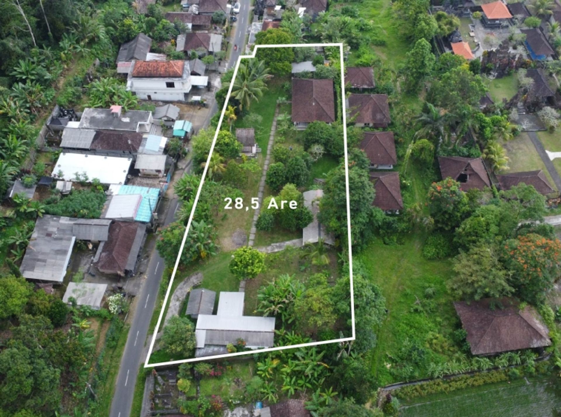 Land i Tegalbunder, Bali 10930723