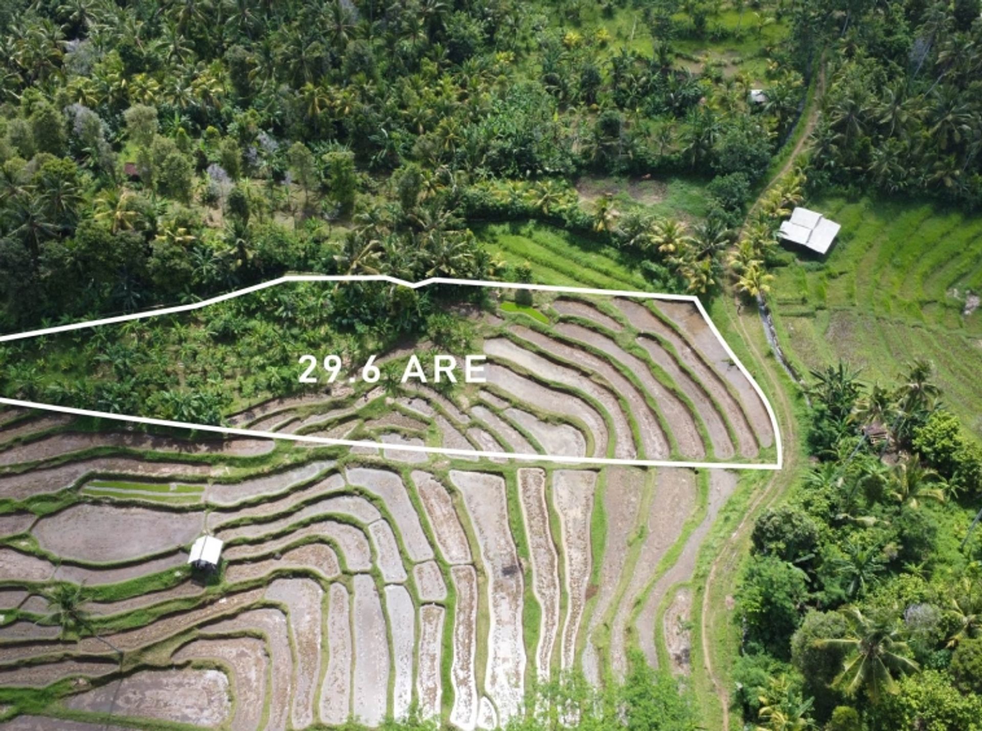 Land i Tegalbunder, Bali 10930732