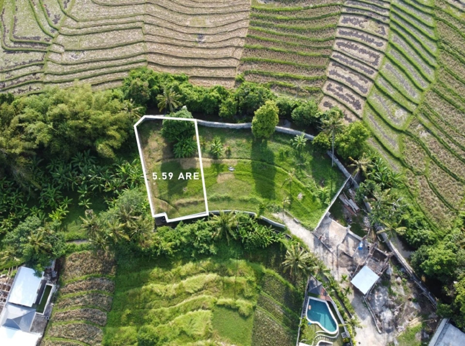 Tierra en Banjar Pekenjelodan, Bali 10930736