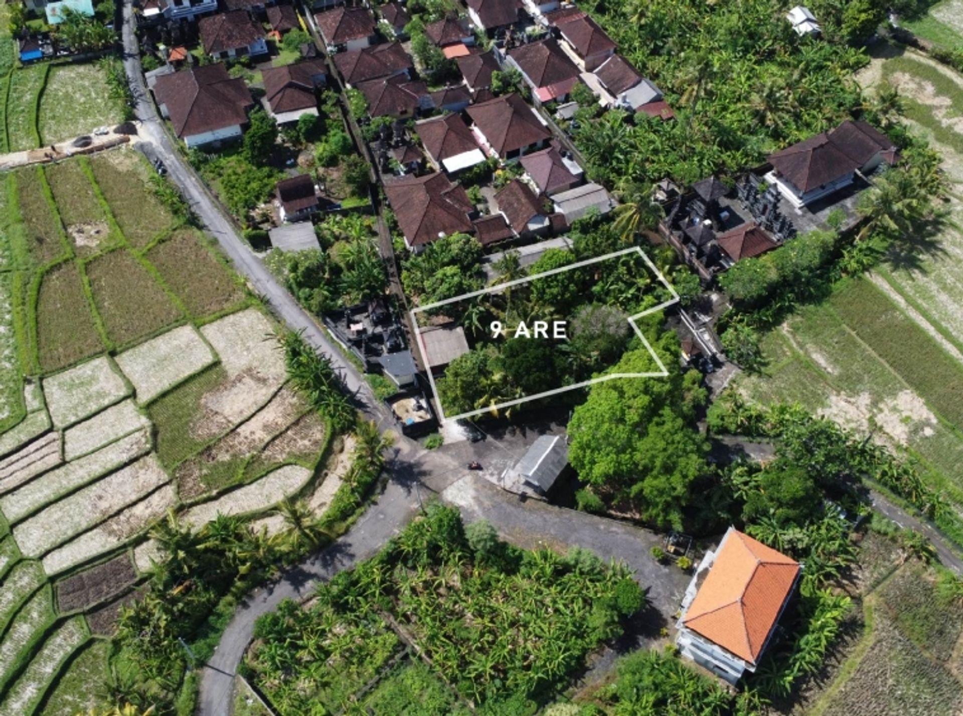 Land in , Bali 10930749