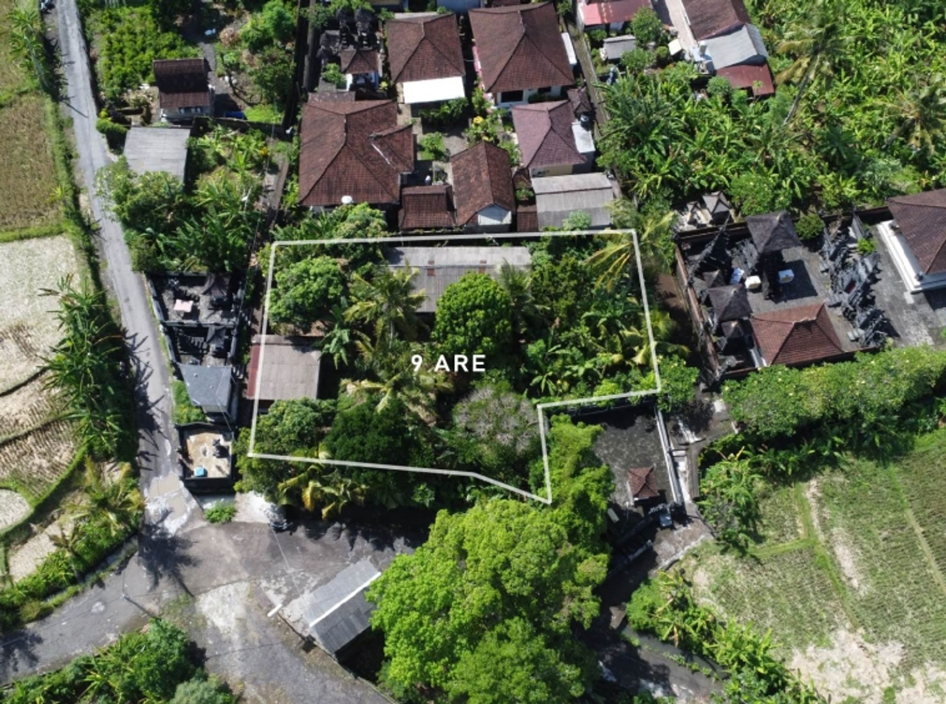 Land in , Bali 10930749