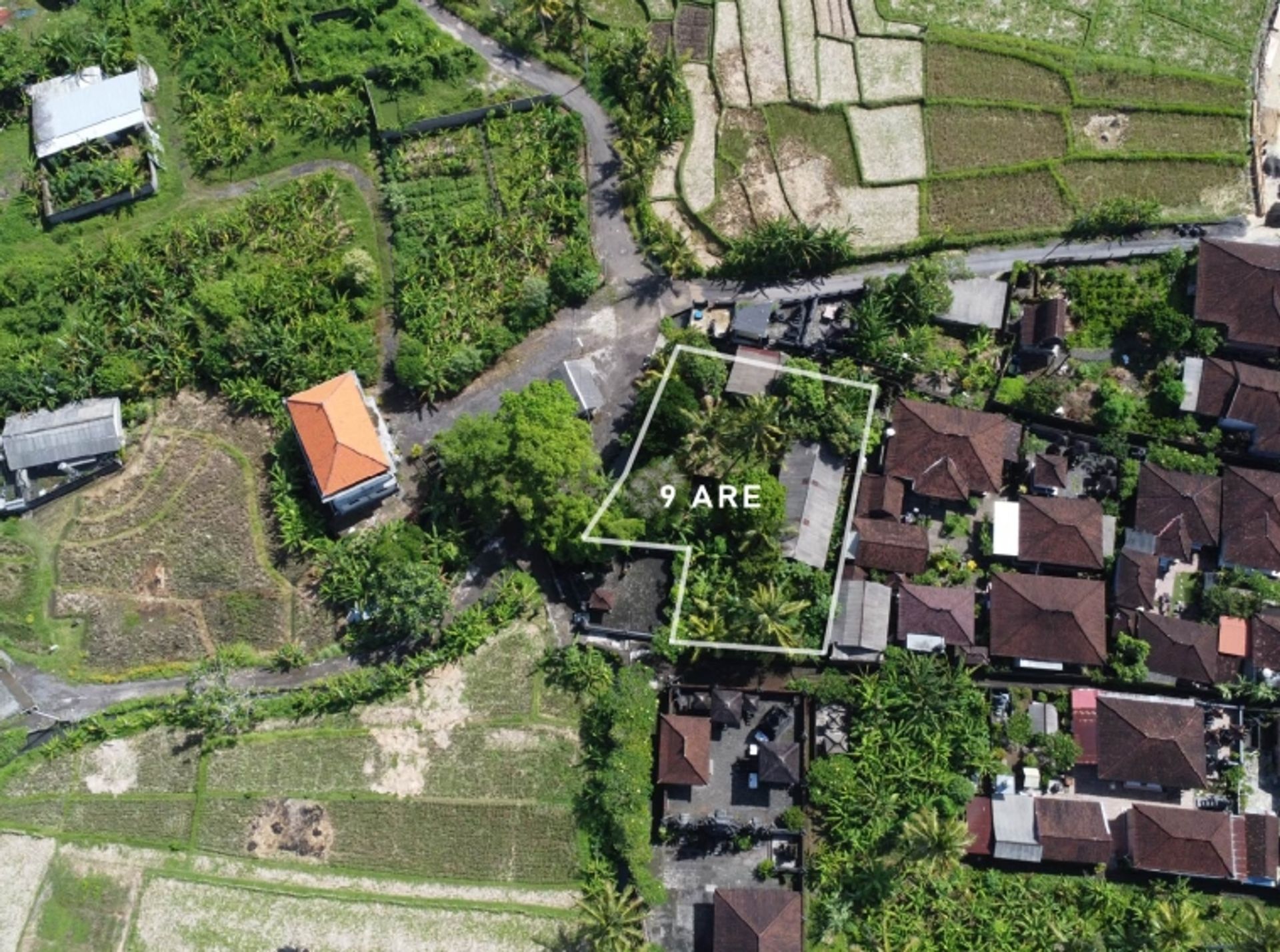 Land in , Bali 10930749