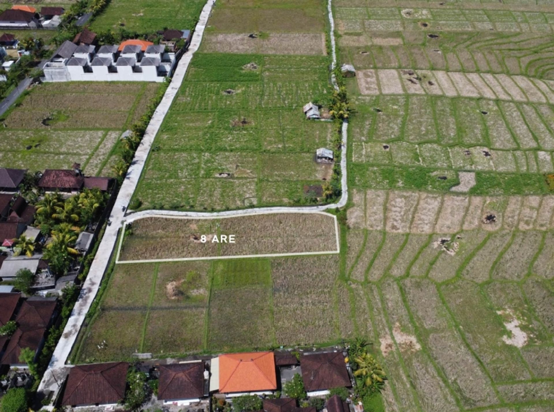 Tanah di Padanglinjong, Bali 10930750