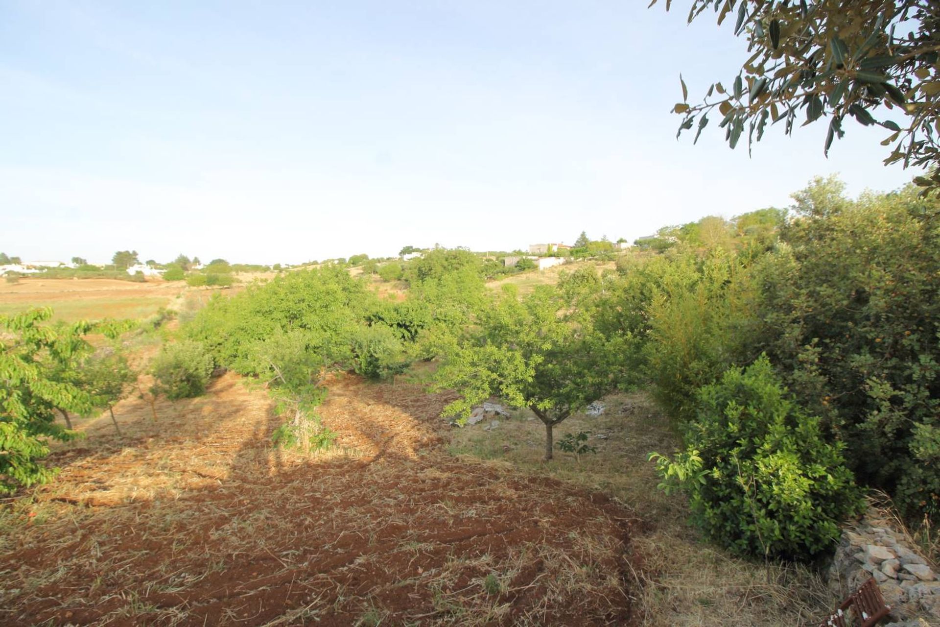 loger dans Martina Franca, Apulia 10930751