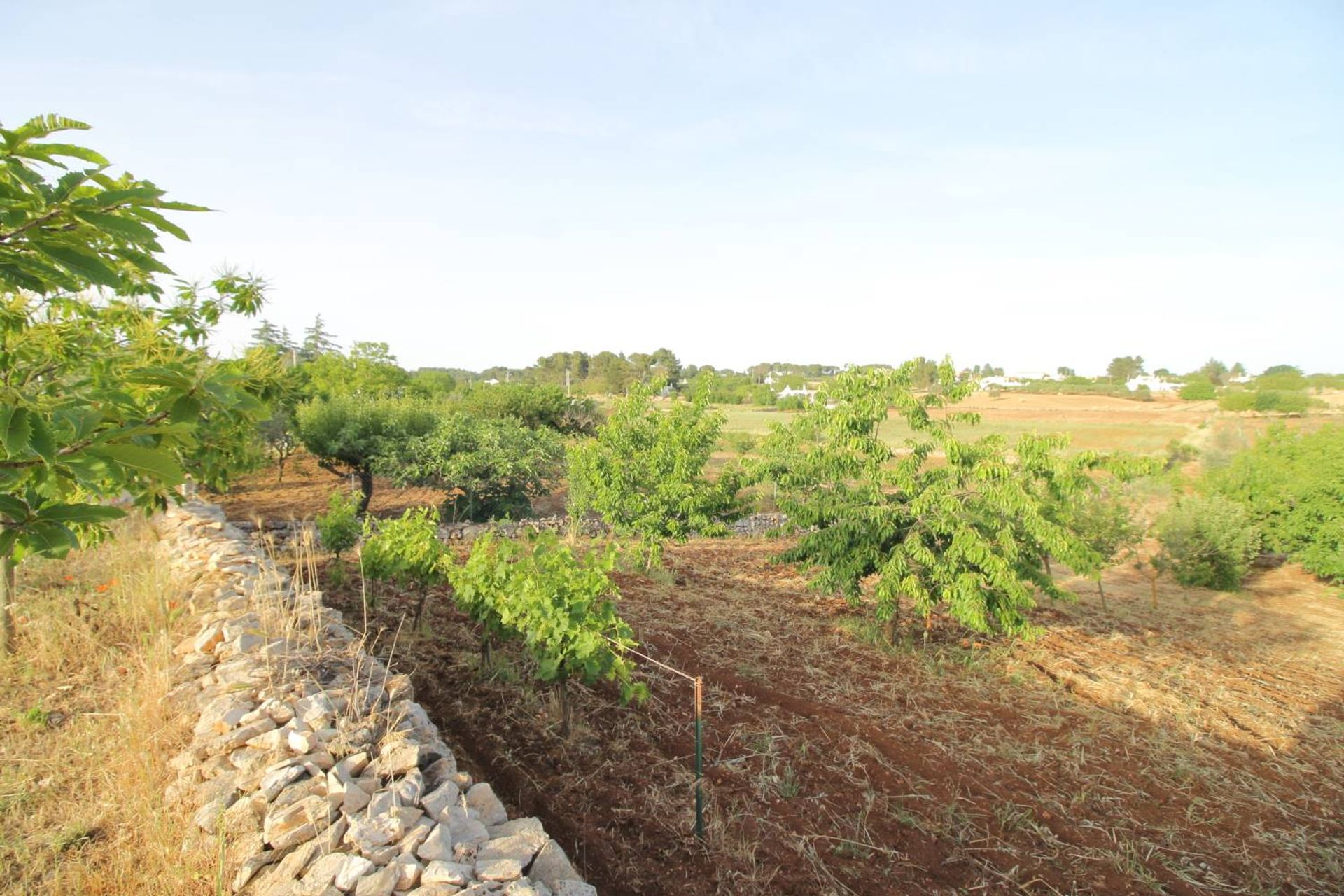 Casa nel Martina Franca, Apulia 10930751