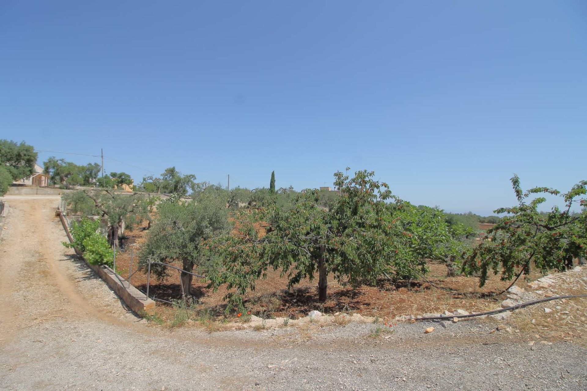 Casa nel Monopoli, Apulia 10930760