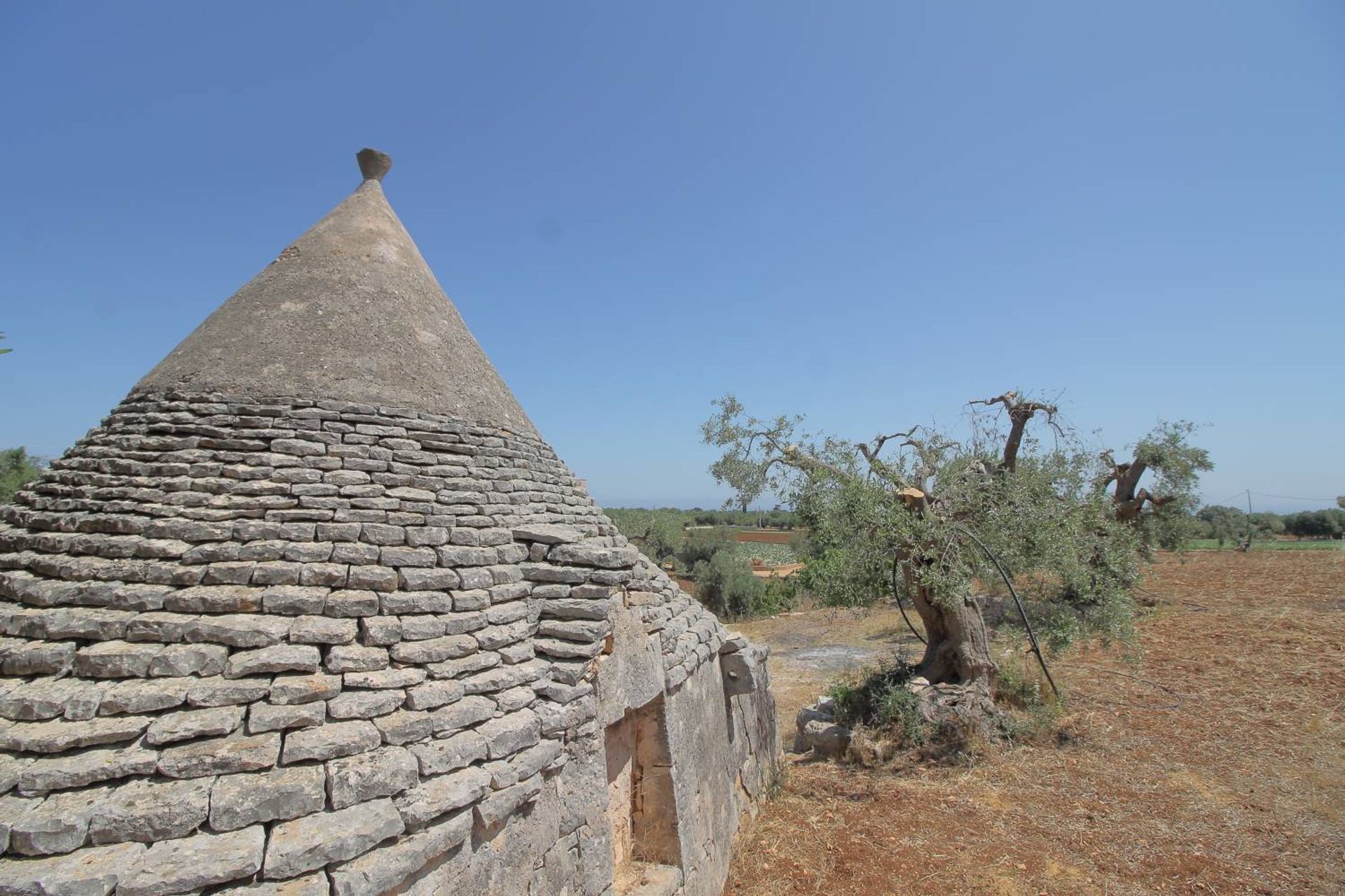 Dom w Monopoli, Apulia 10930760