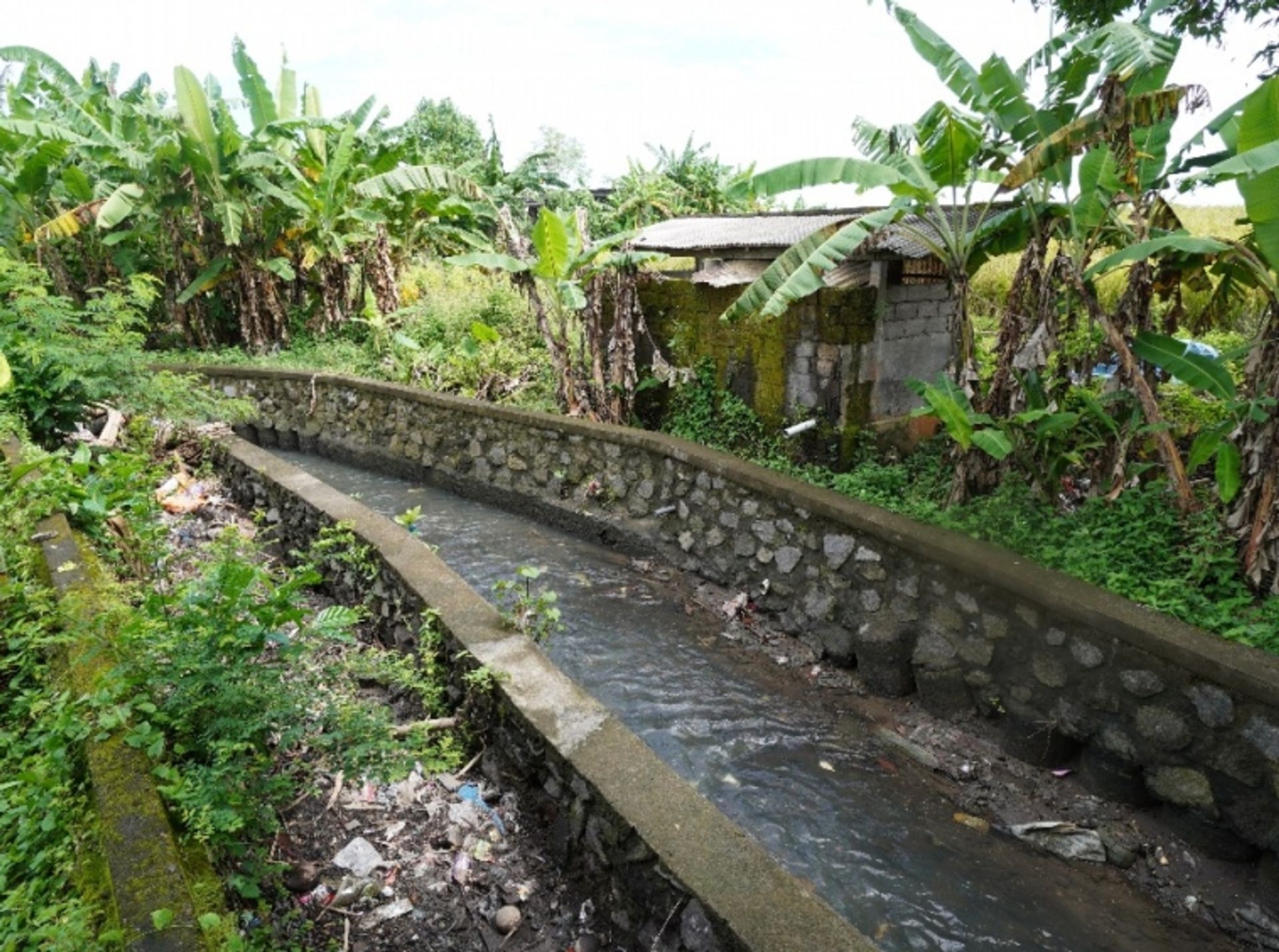 土地 在 , Bali 10930769