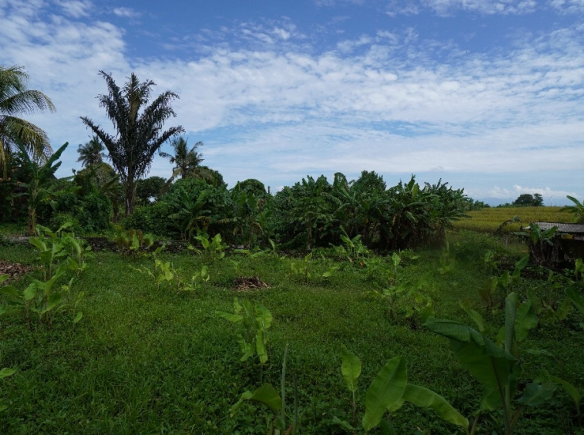 土地 在 , Bali 10930769