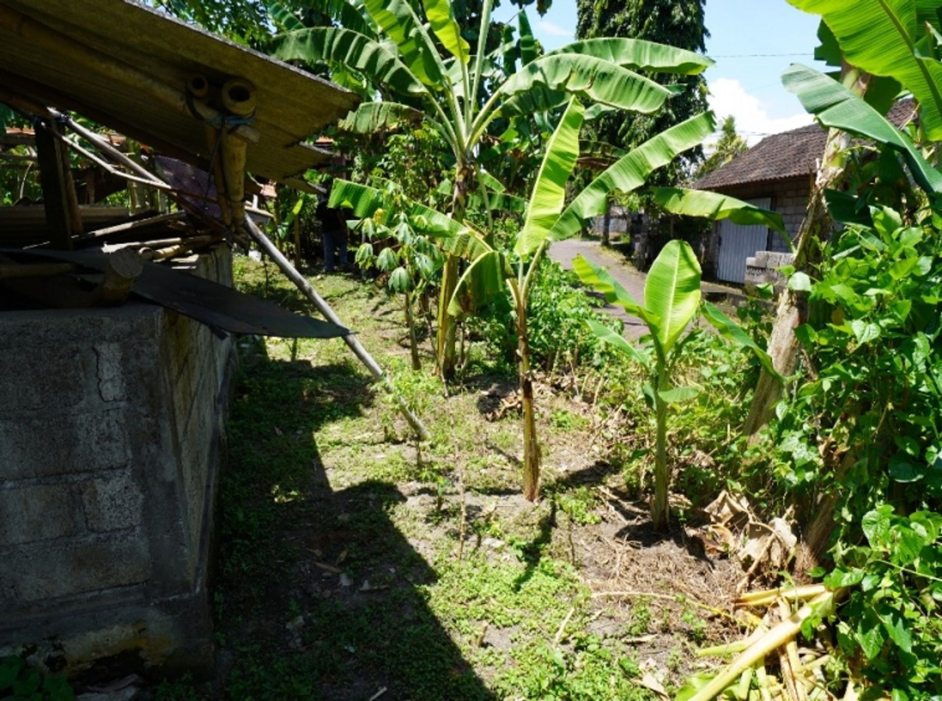 Tanah di Padanglinjong, Bali 10930775