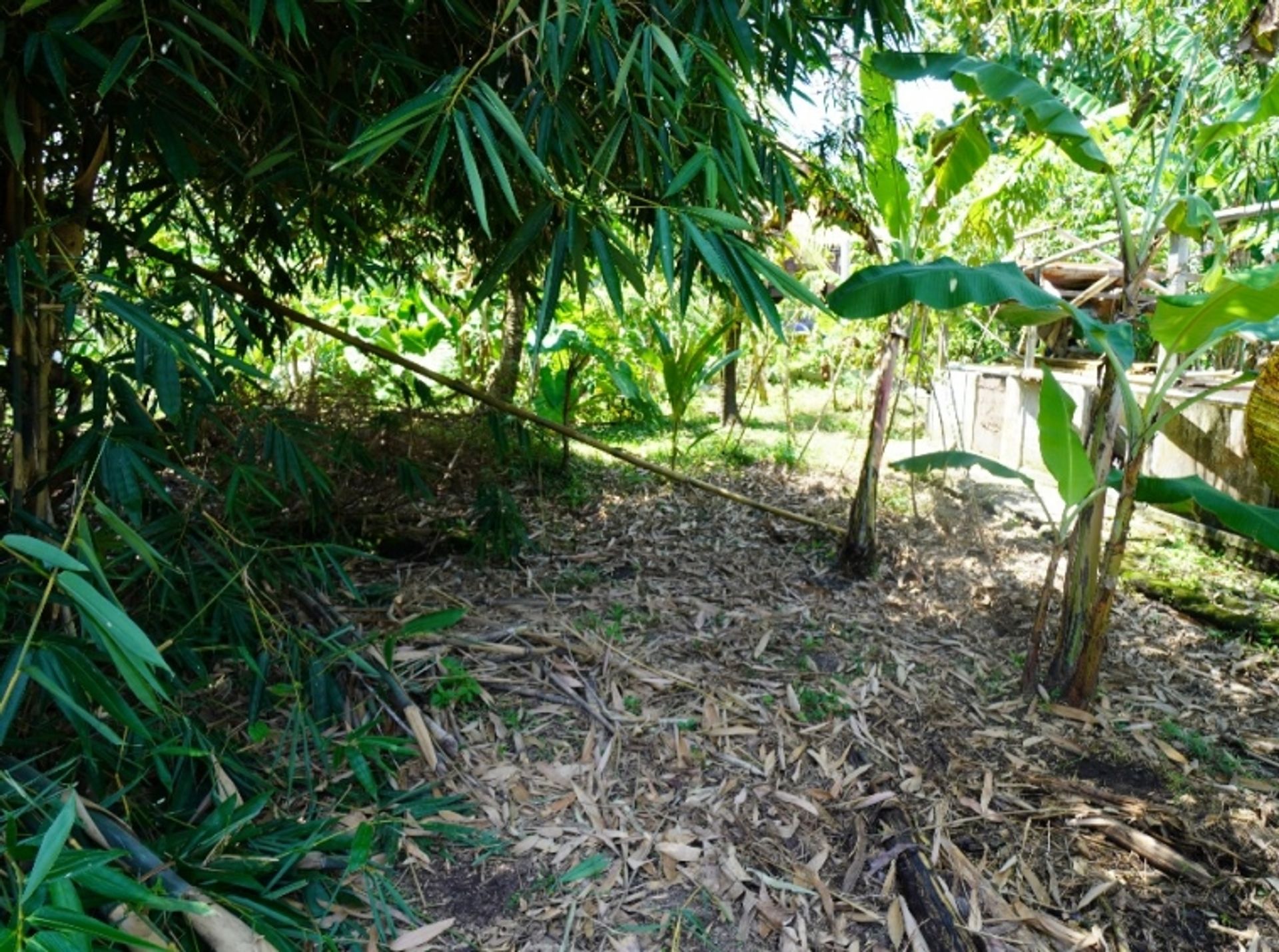 Tanah di Padanglinjong, Bali 10930775