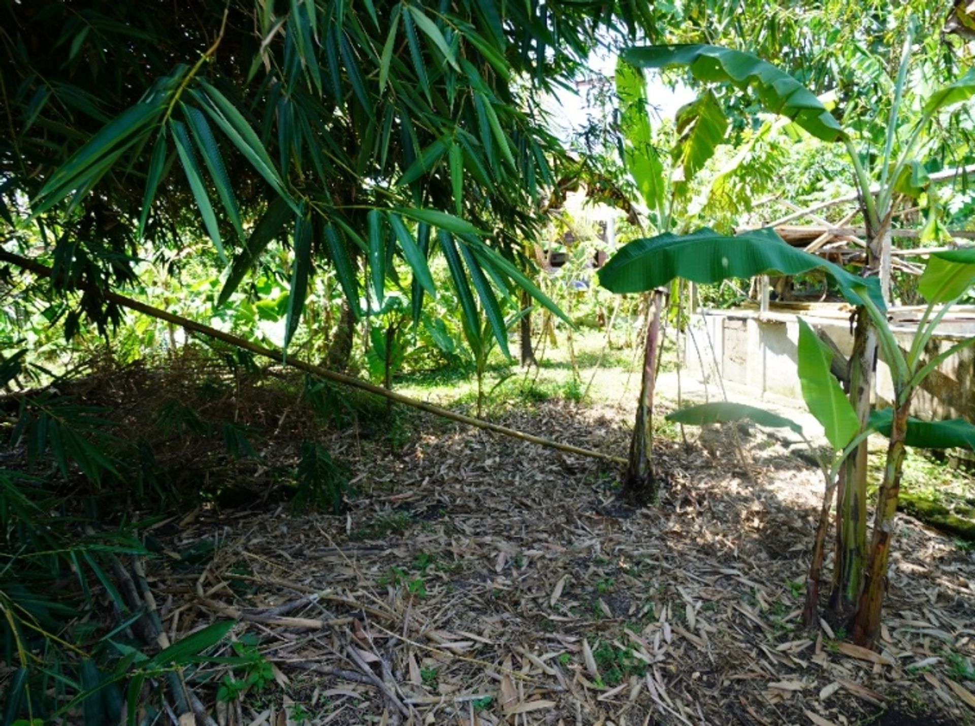 Tanah di Padanglinjong, Bali 10930775