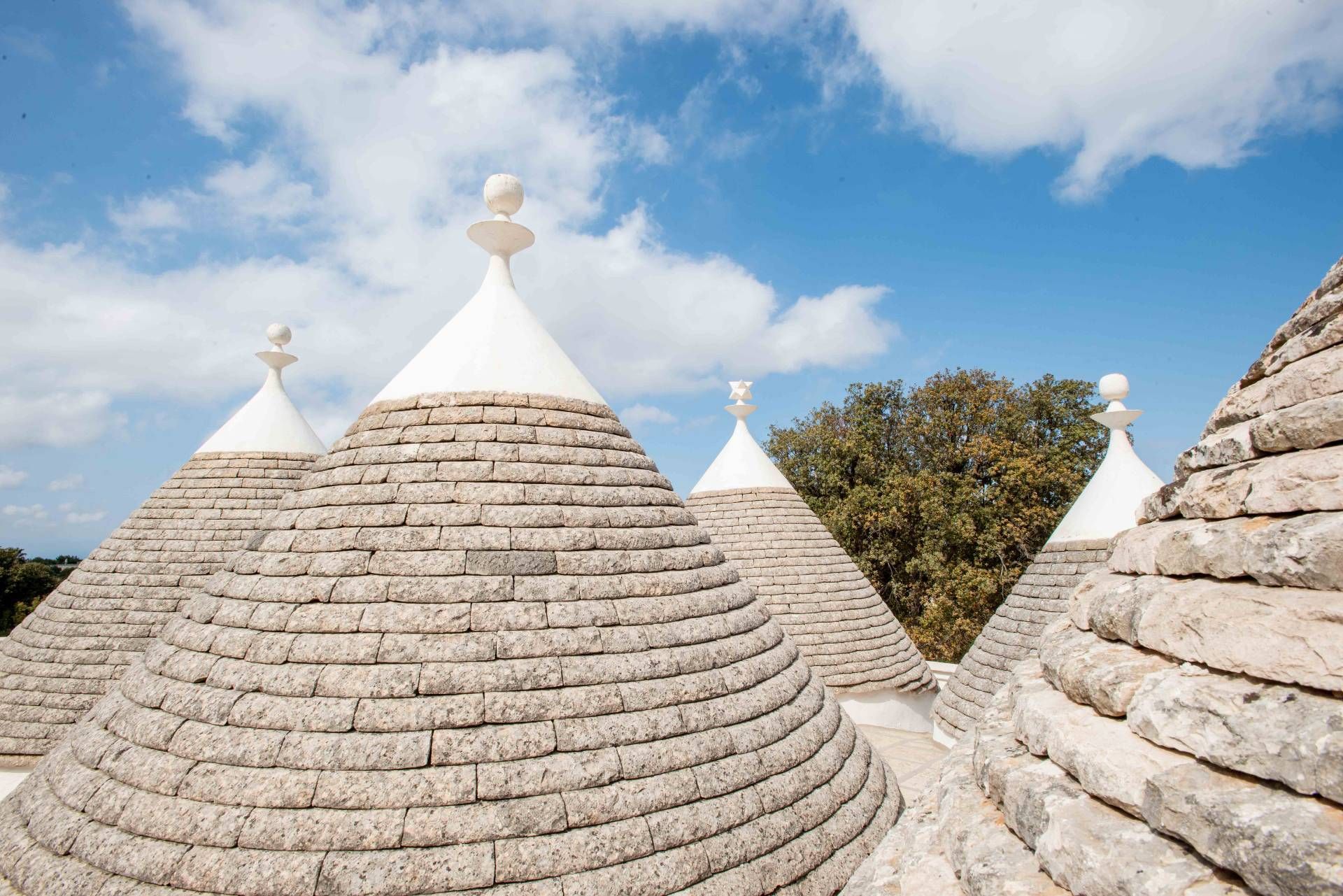 casa en Fasano, Apulia 10930785