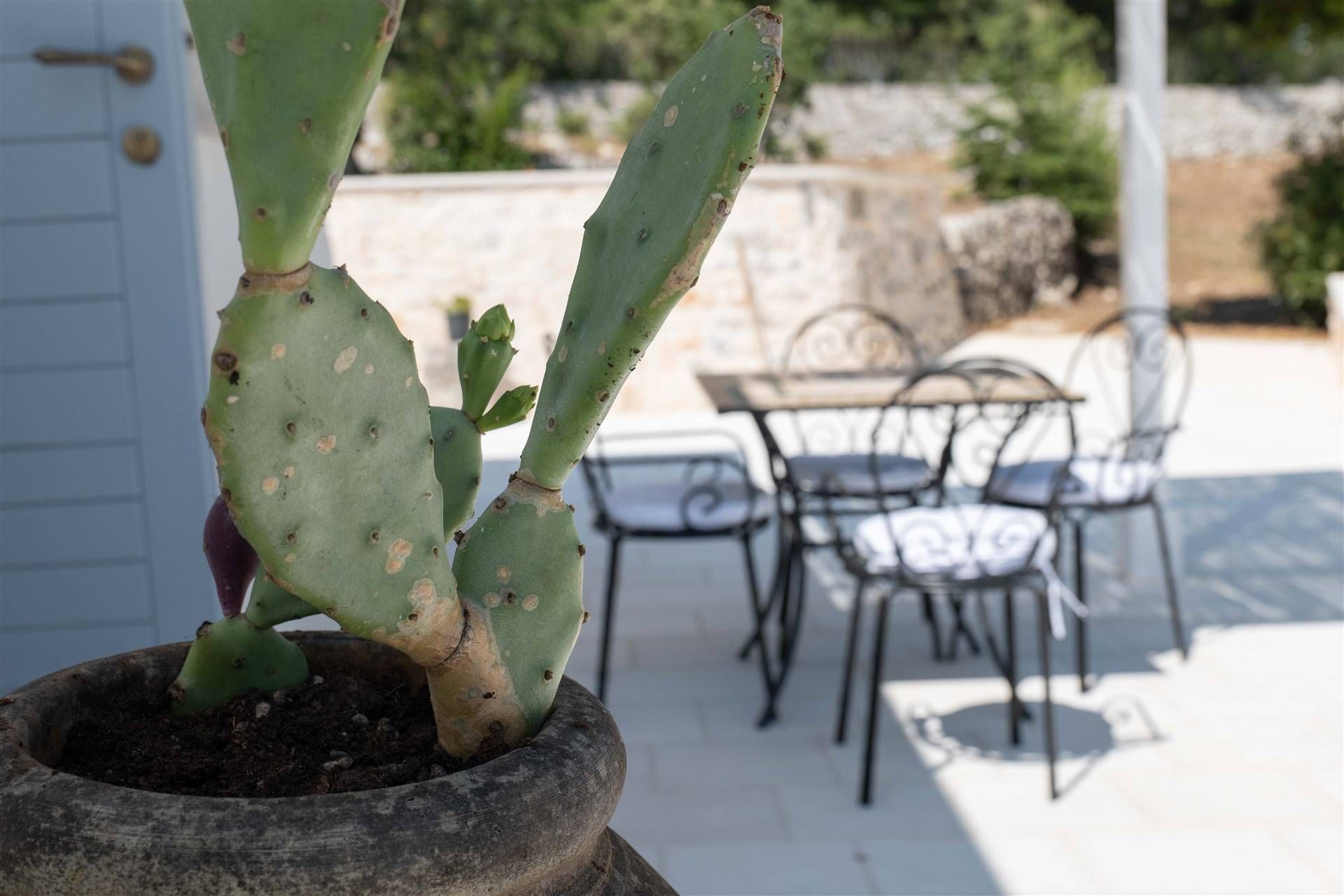 casa en Fasano, Apulia 10930785