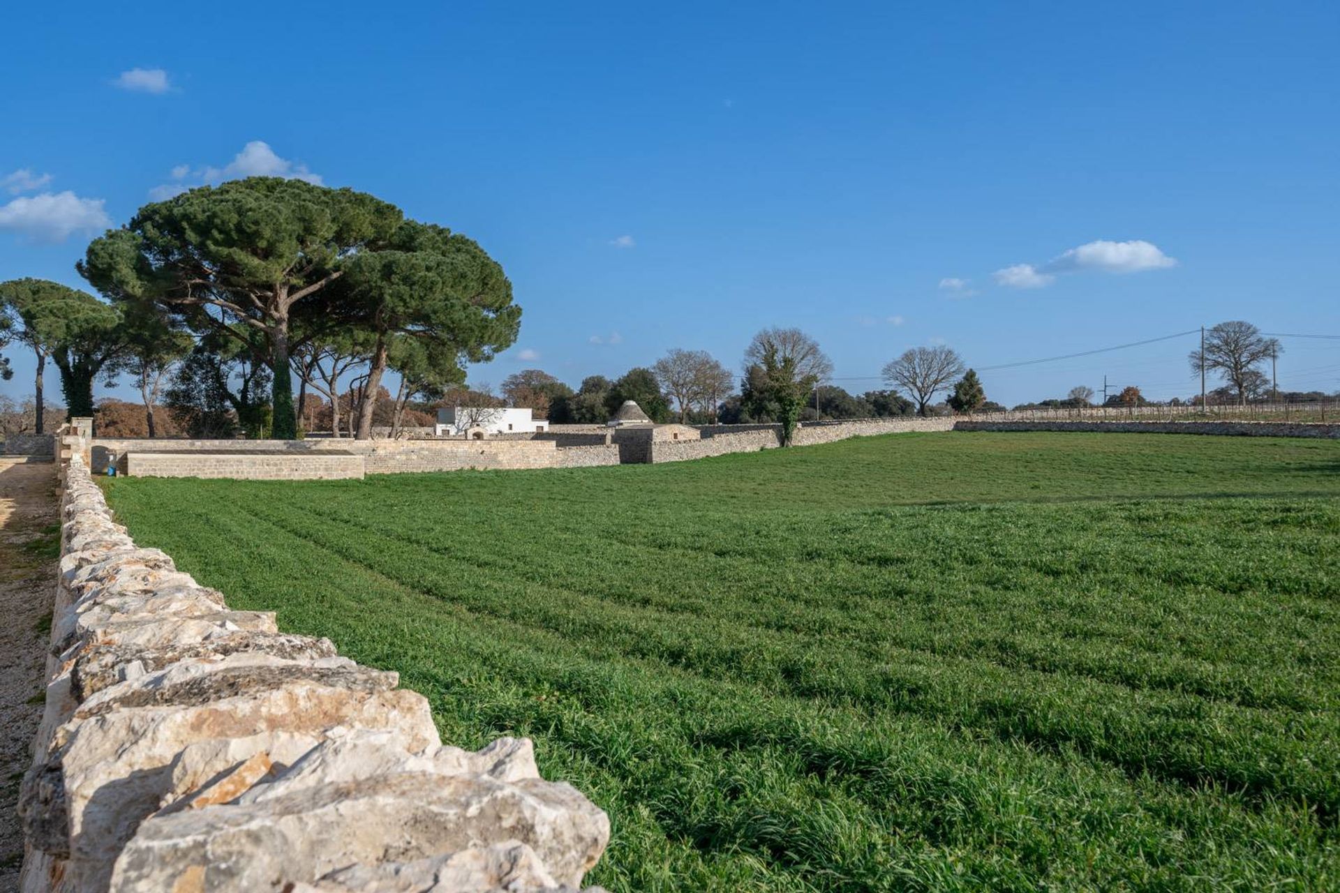 آخر في Martina Franca, Apulia 10930799