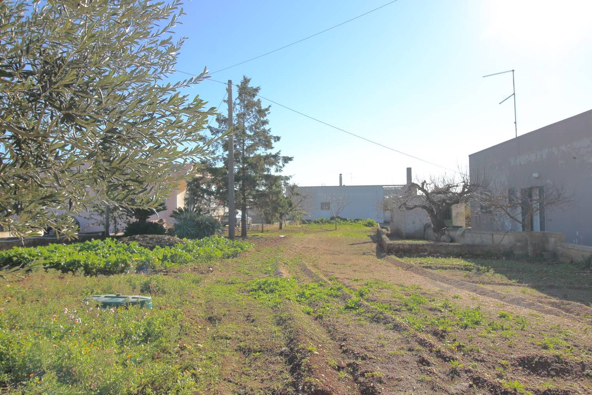 House in Martina Franca, Puglia 10930804