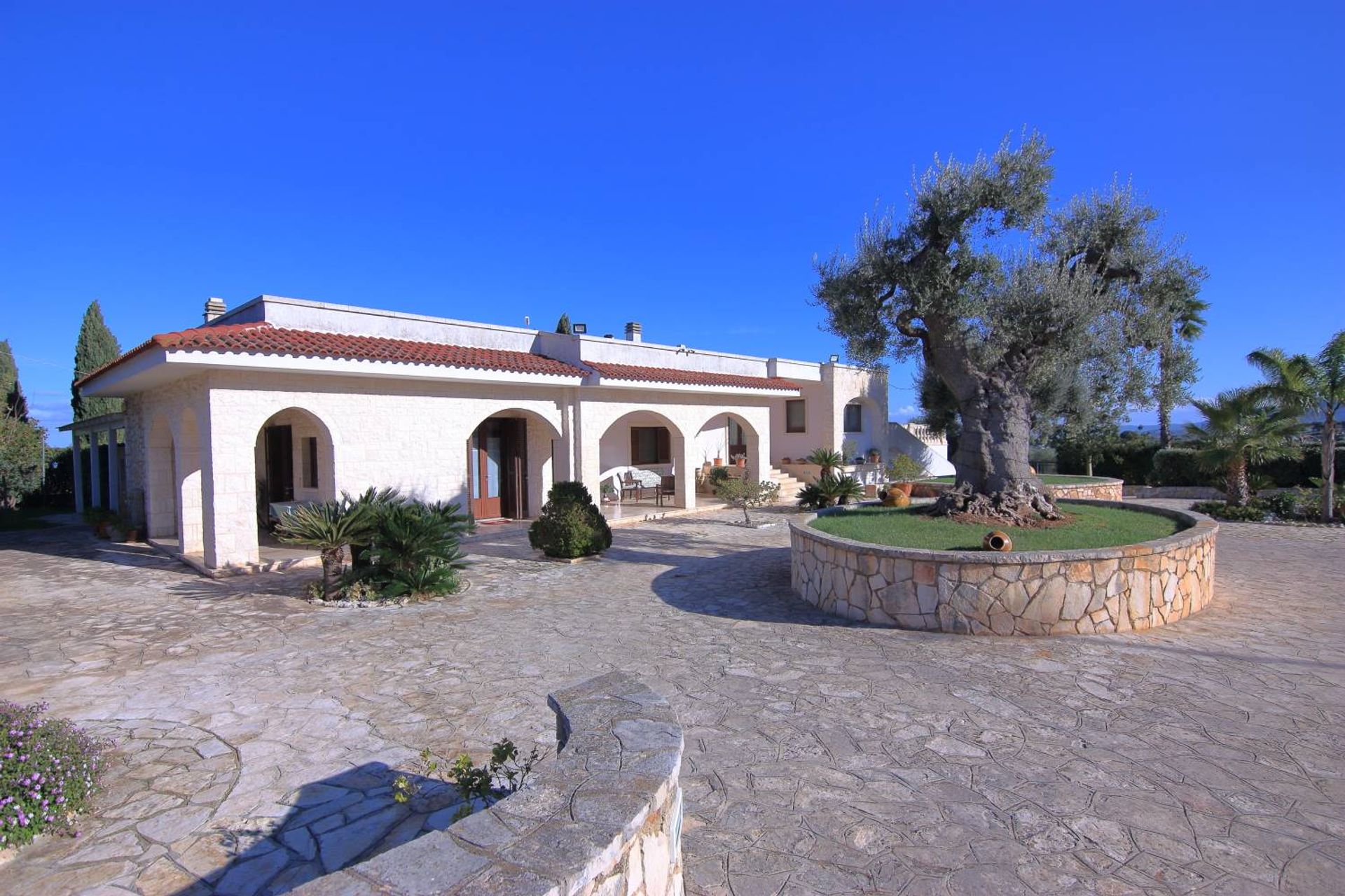 Huis in Fasano, Apulia 10930808