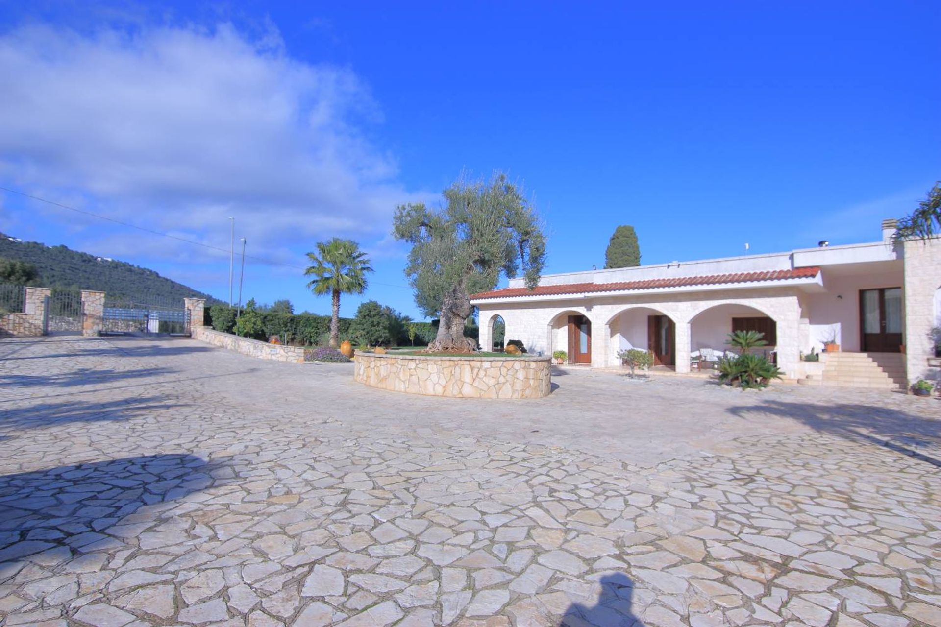 Huis in Fasano, Apulia 10930808