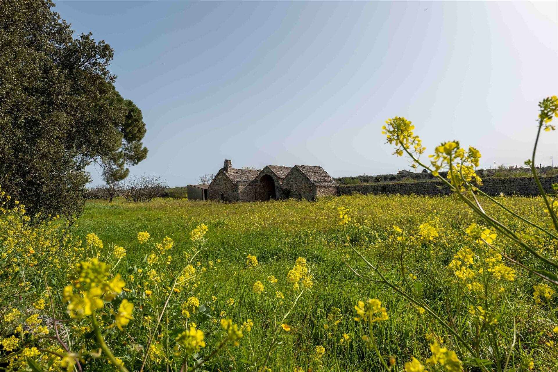 Autre dans Turi, Apulia, Apulia 10930812