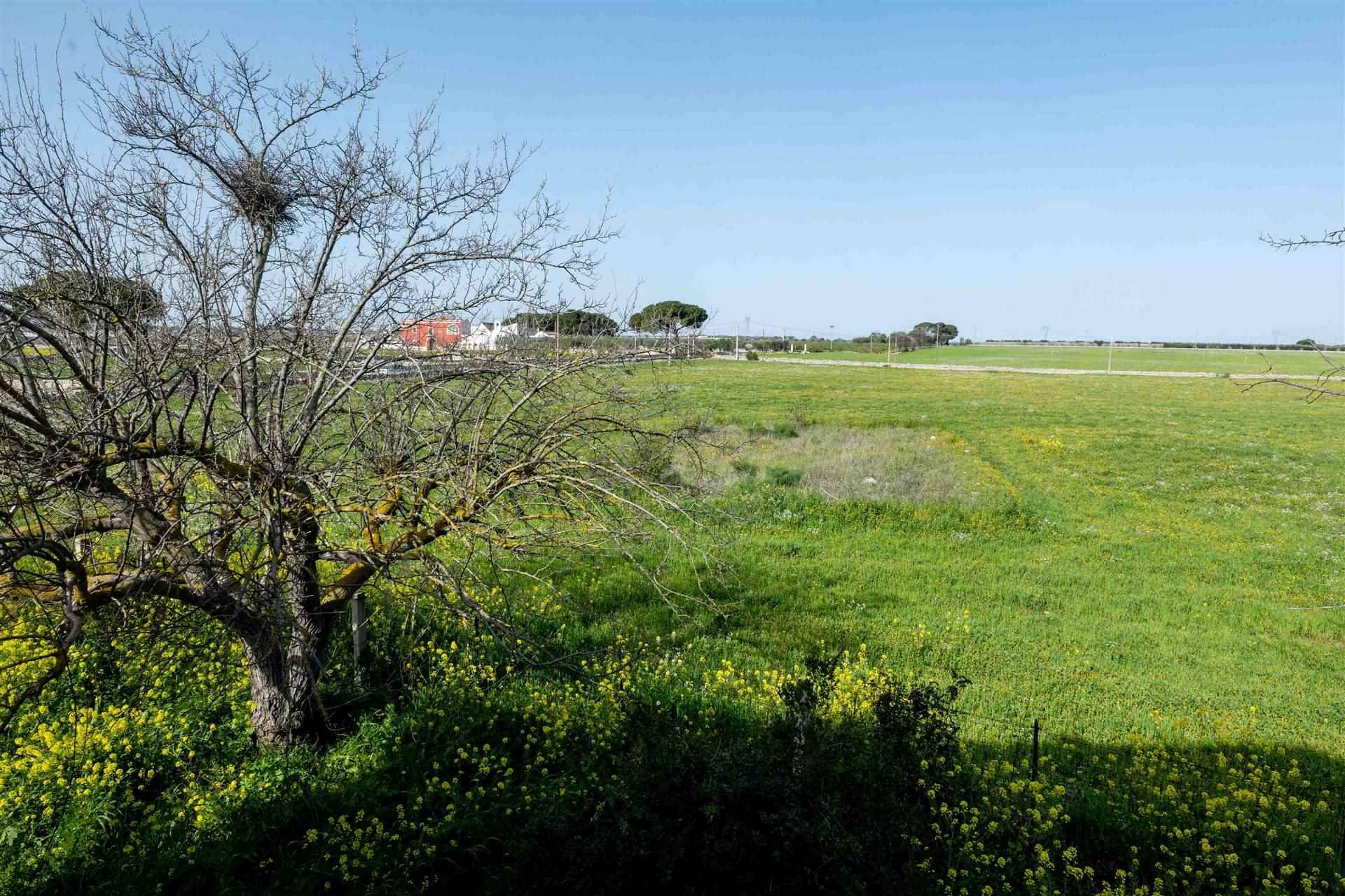 Другой в Turi, Apulia, Apulia 10930812