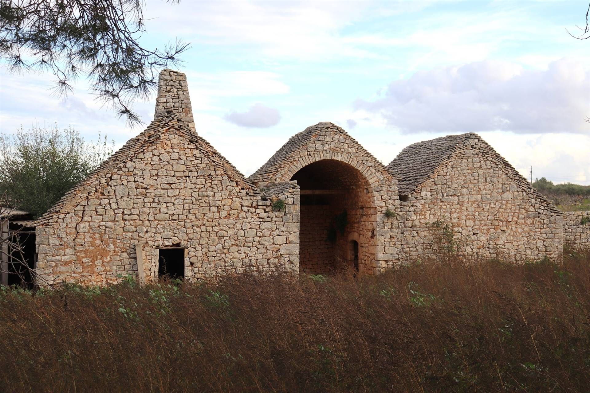 Outro no Turi, Apulia, Apulia 10930812