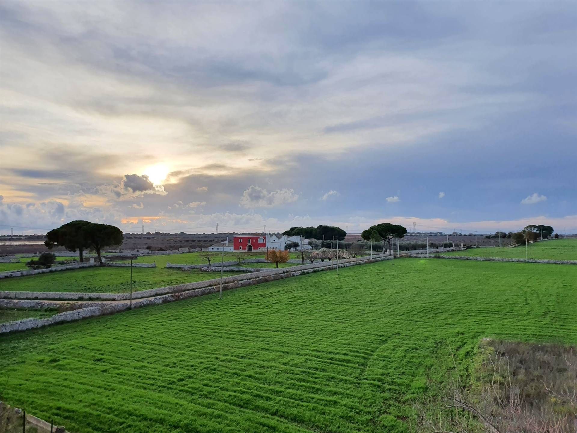 Yang lain dalam Turi, Apulia, Apulia 10930812