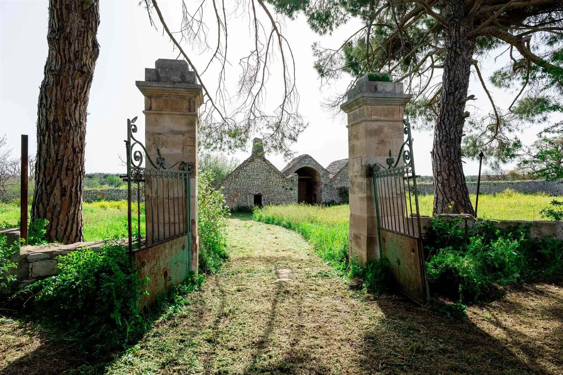 Autre dans Turi, Apulia, Apulia 10930812