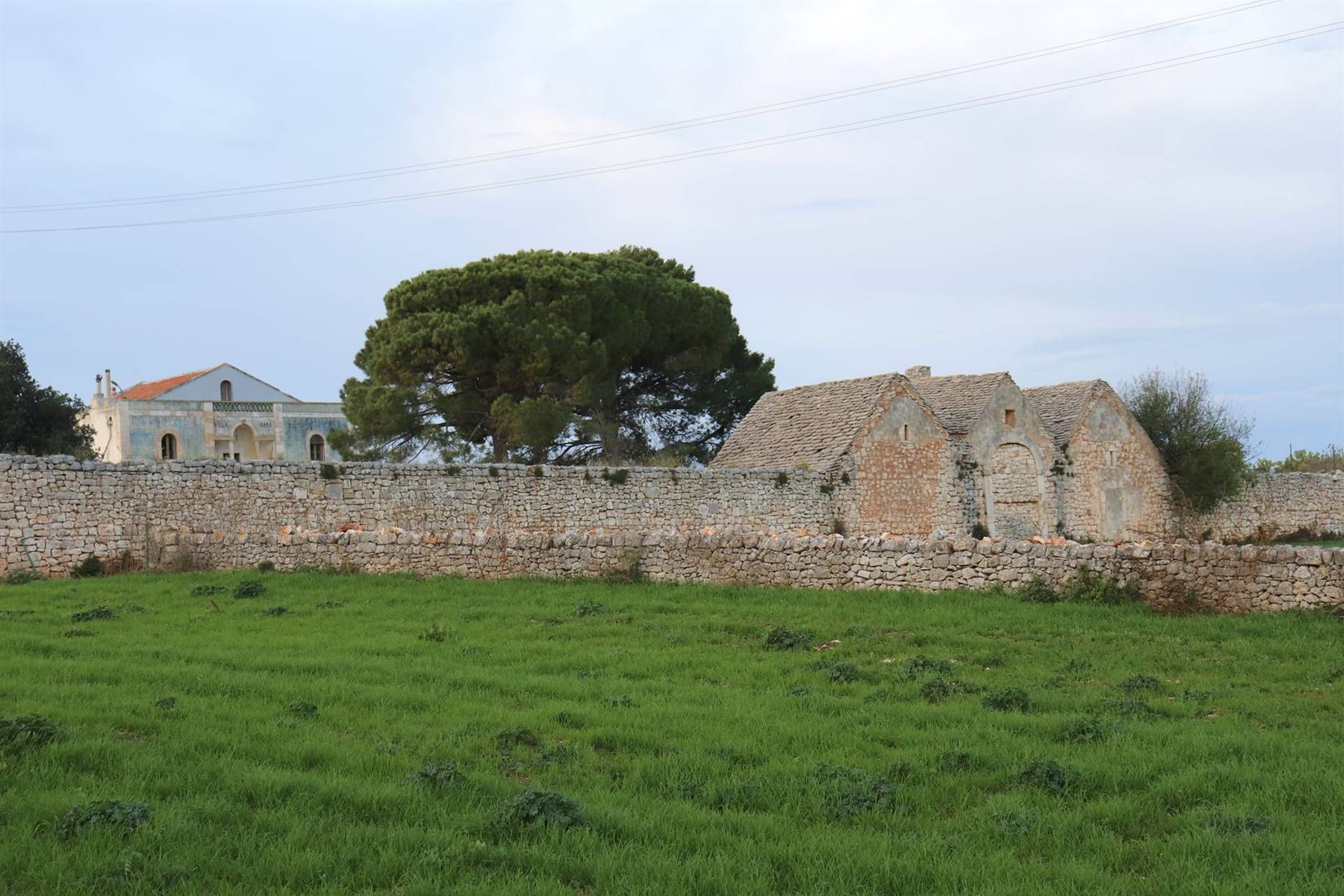 Αλλα σε Turi, Apulia, Apulia 10930812